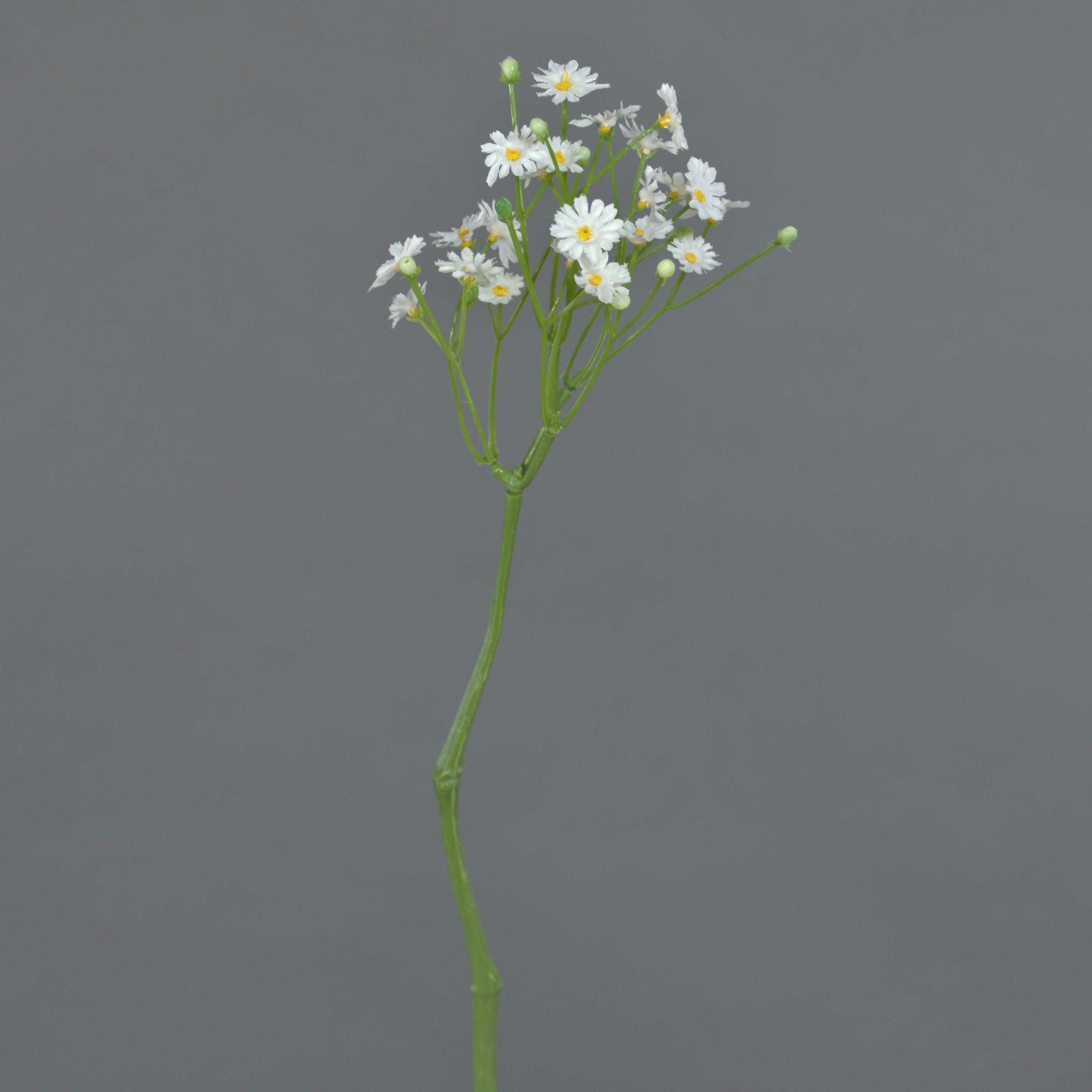 Kunstzweig Künstliches Gänseblümchen Belina, 24 Blüten, weiß, 30cm, Ø 9cm Gänseblümchen, artplants, Höhe 30.0 cm