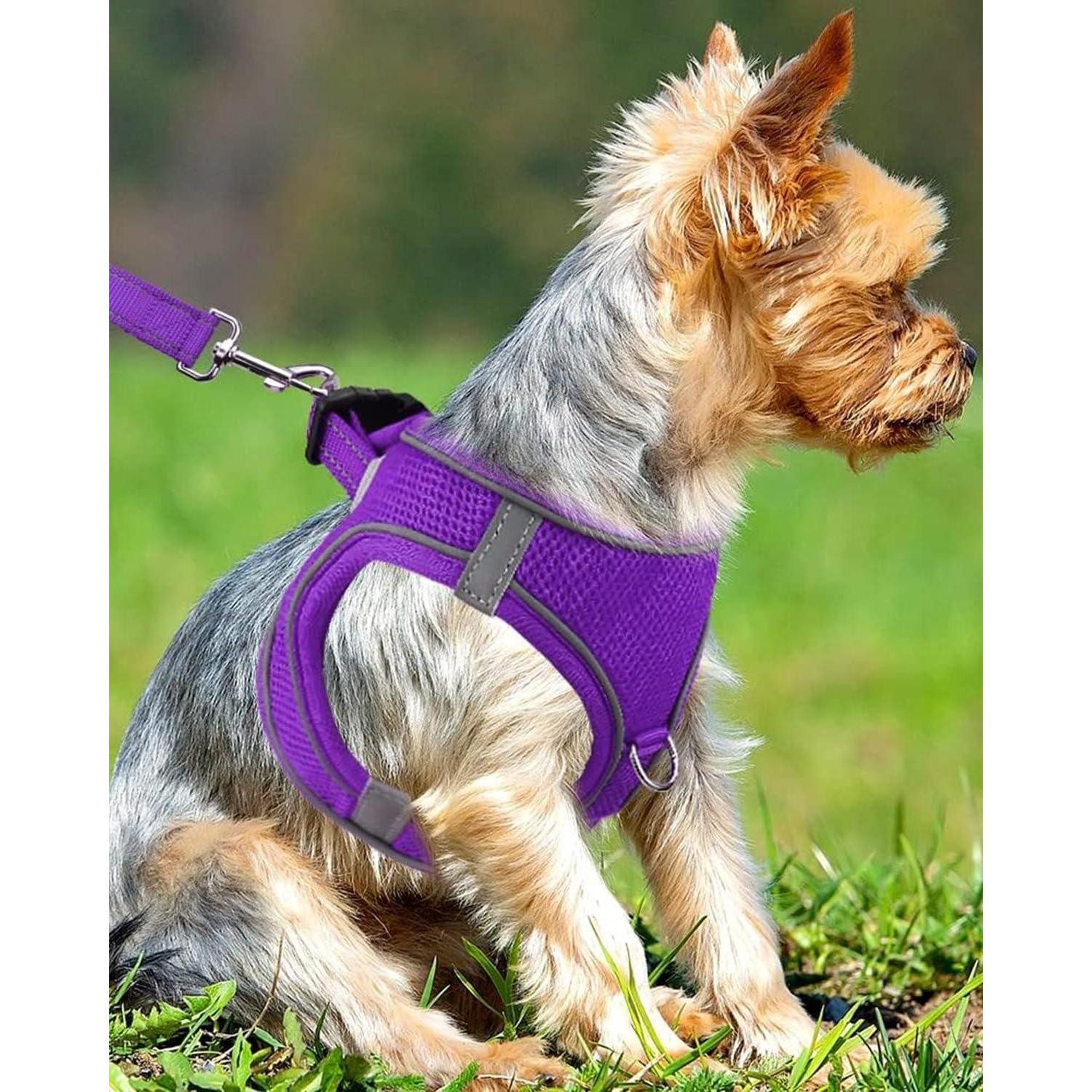 LuxusKollektion Hunde-Geschirr Brustgeschirr AirMesh reflektierend gepolstert S-Brust:38-42cm Lila