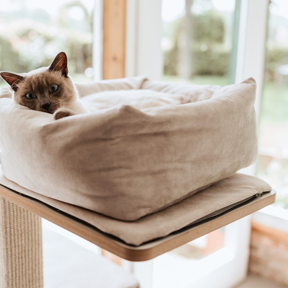 Hunter Tierbedarf Tierbett Katzenbett Dreamie beige