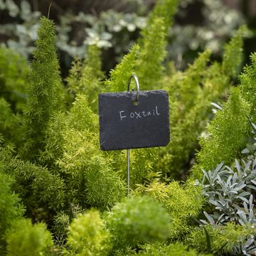 Navaris Etiketten 10x Schiefer Pflanzenschilder mit 40cm Metallstab - mit Kreide