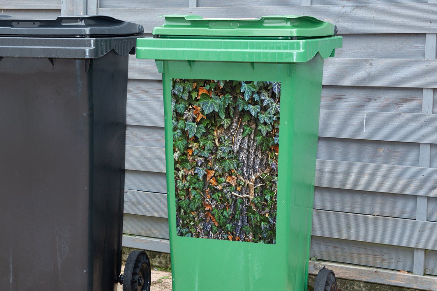 bunte MuchoWow Eine wächst Abfalbehälter Mülltonne, Wandsticker St), Eiche auf Container, (1 einer Sticker, Mülleimer-aufkleber, dicken Hedera