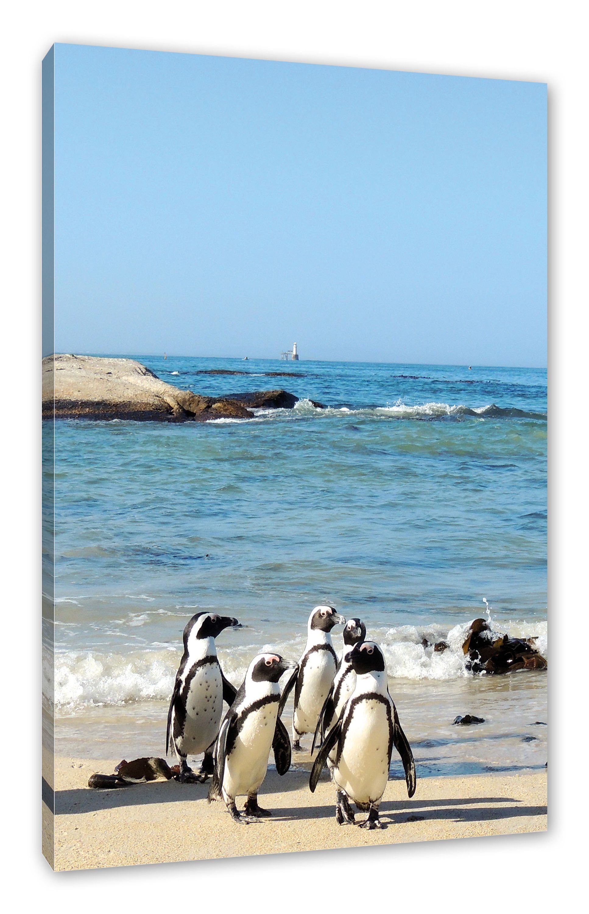 Pixxprint St), am am Pinguine Leinwandbild fertig inkl. Leinwandbild bespannt, Pinguine Strand Zackenaufhänger Strand, (1