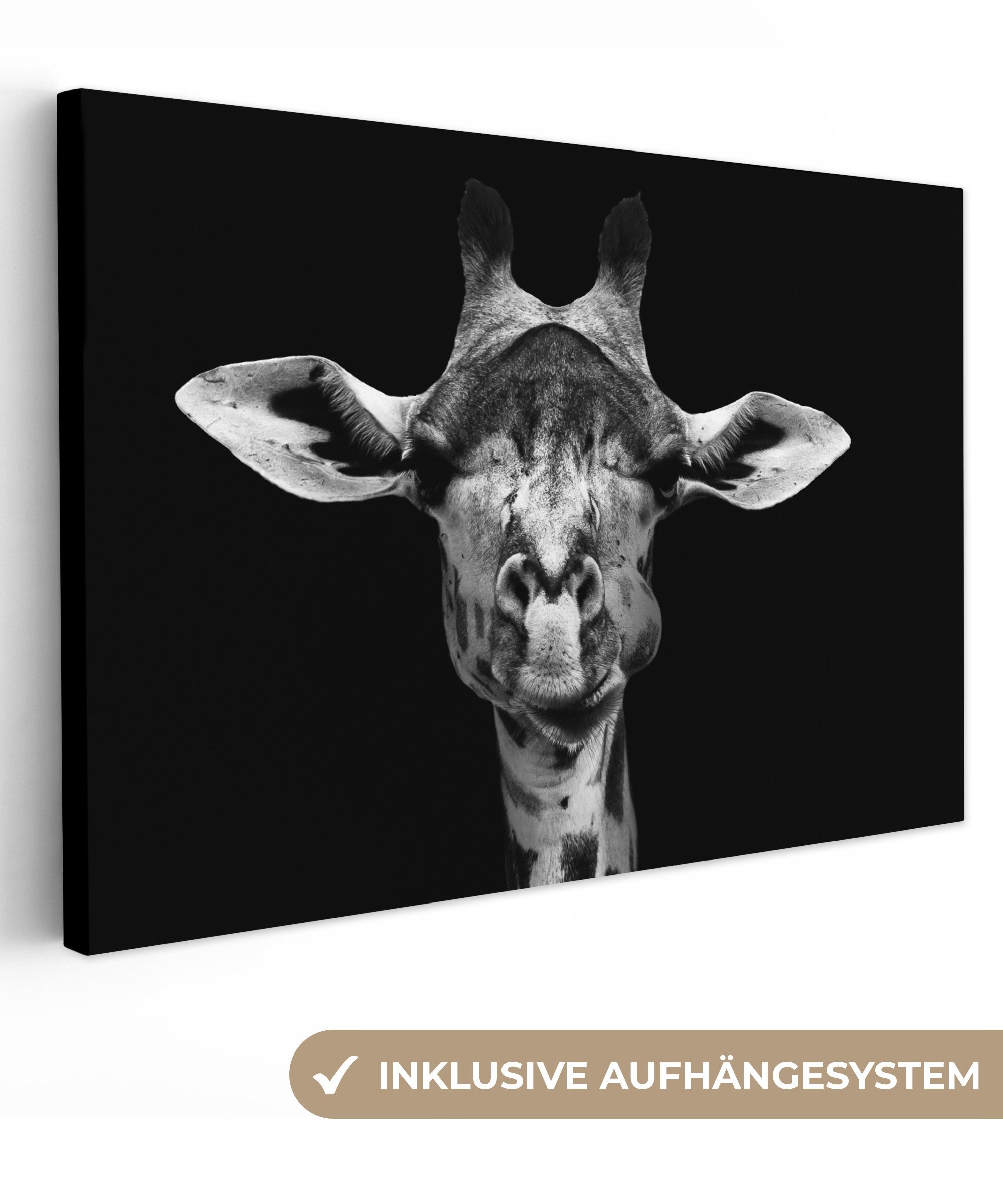 OneMillionCanvasses® Leinwandbild Giraffe - Tiere - günstig online kaufen