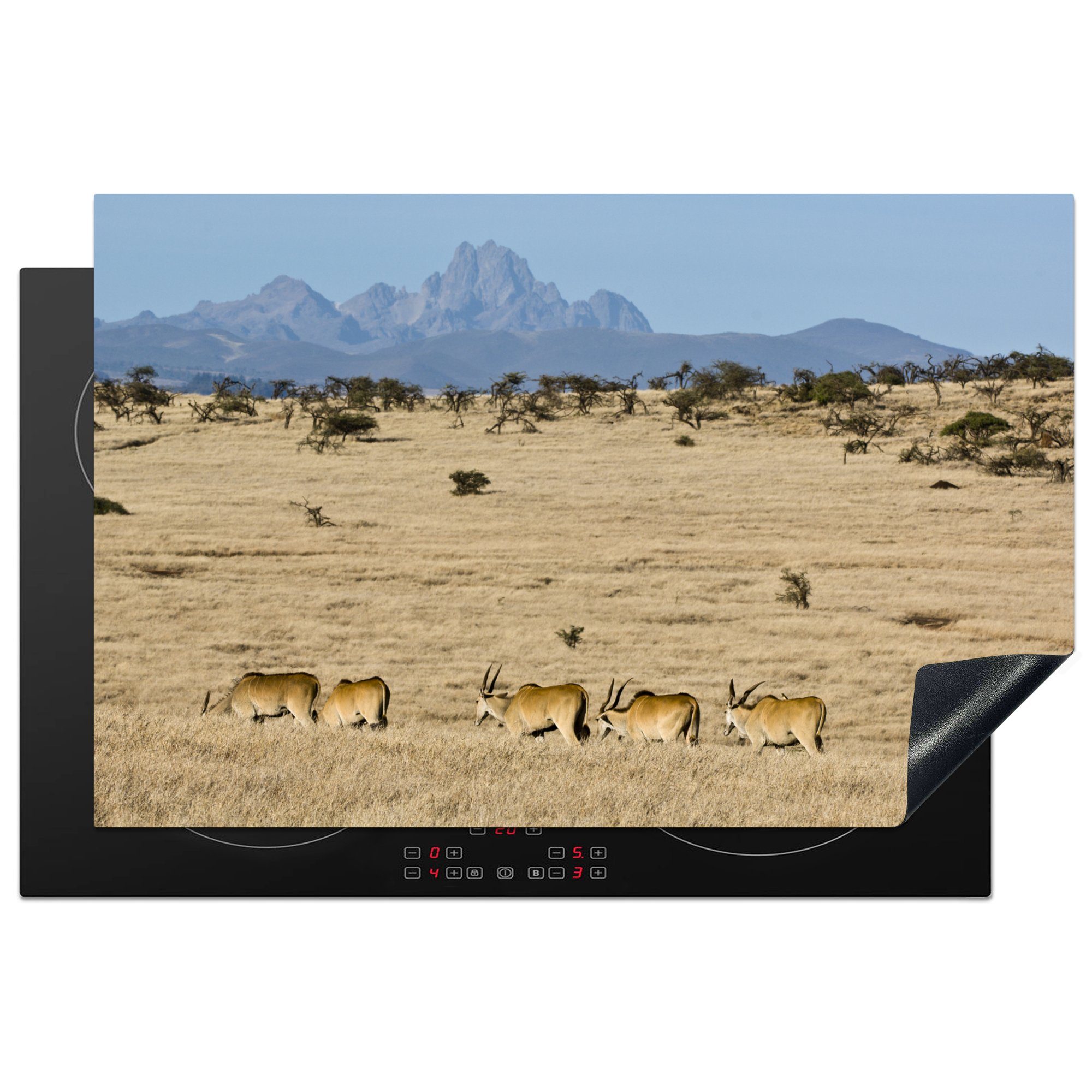 MuchoWow Herdblende-/Abdeckplatte Mount Kenia mit einer Elchherde im Vordergrund in Afrika, Vinyl, (1 tlg), 81x52 cm, Induktionskochfeld Schutz für die küche, Ceranfeldabdeckung