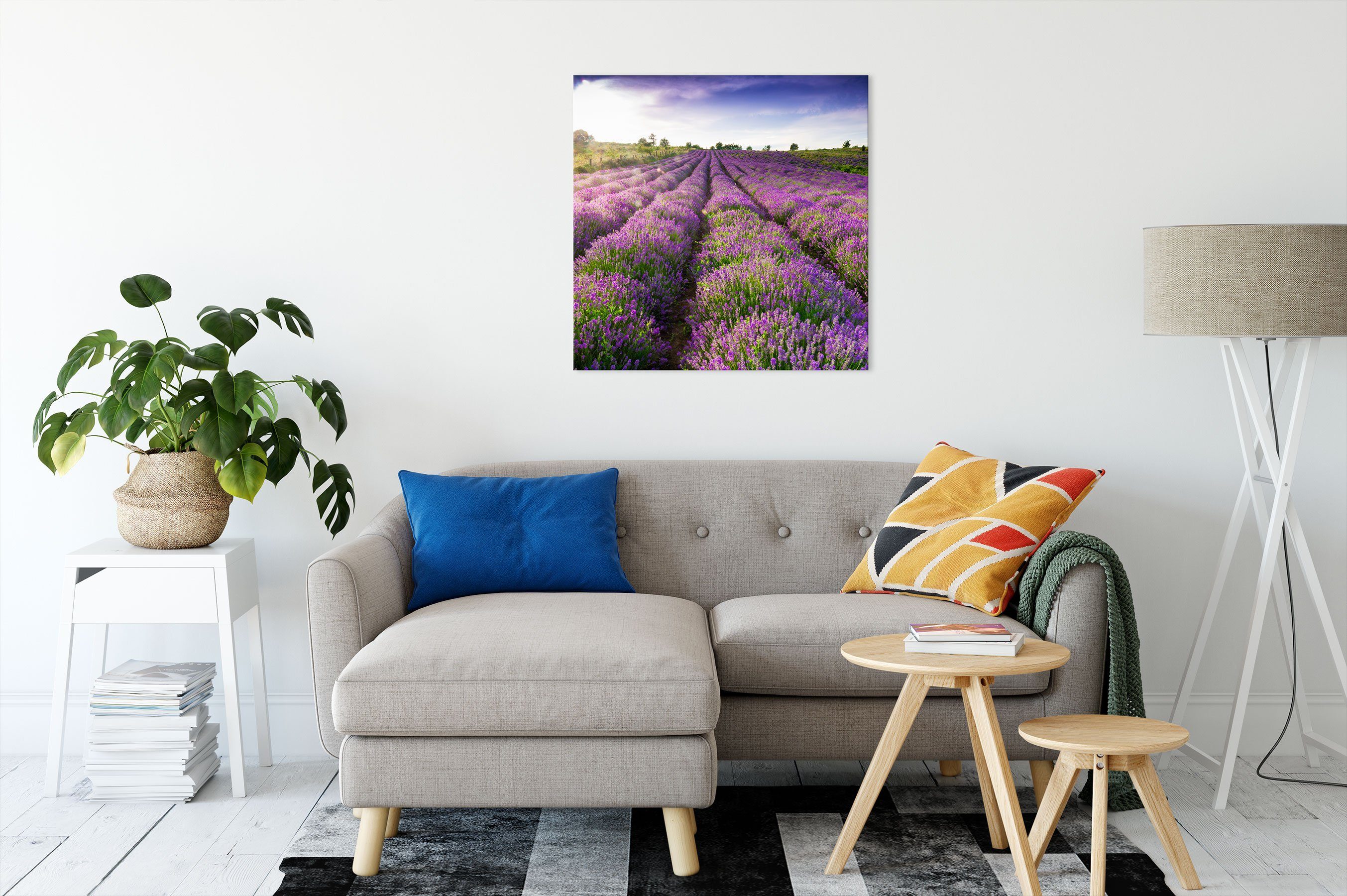 Lavendelfeld Leinwandbild Provence, Zackenaufhänger (1 Pixxprint bespannt, fertig Leinwandbild St), Lavendelfeld inkl. Provence