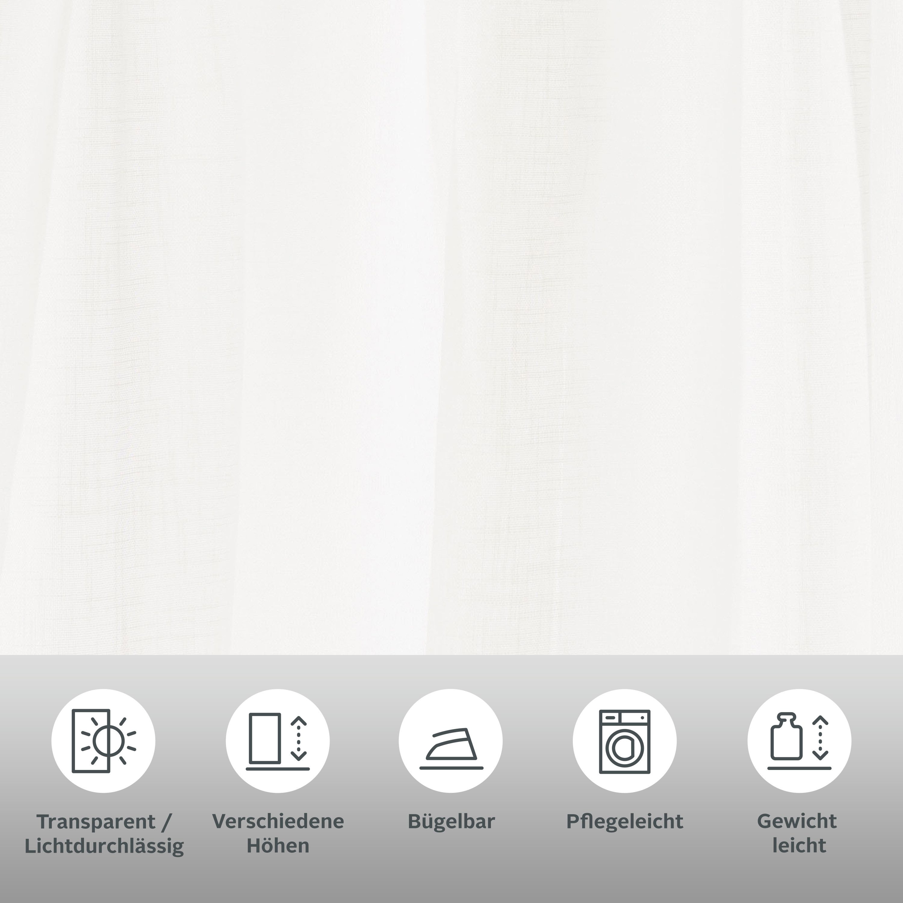 my home Gardine REGINA (2 St), Multifunktionsband, transparent, Polyester, günstig online kaufen