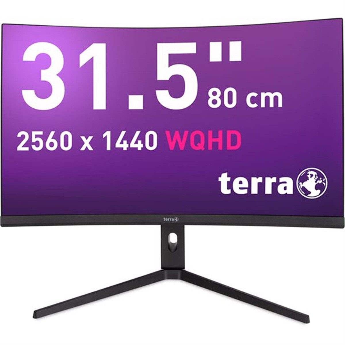 TERRA TERRA LCD 3285W HA CURVED LCD-Monitor (80 cm/31.5 ", WQHD, 1 ms Reaktionszeit, Advanced VA, 180Hz, 1ms, WQHD, HDMI, Displayport 1.2, USB-C, VESA)