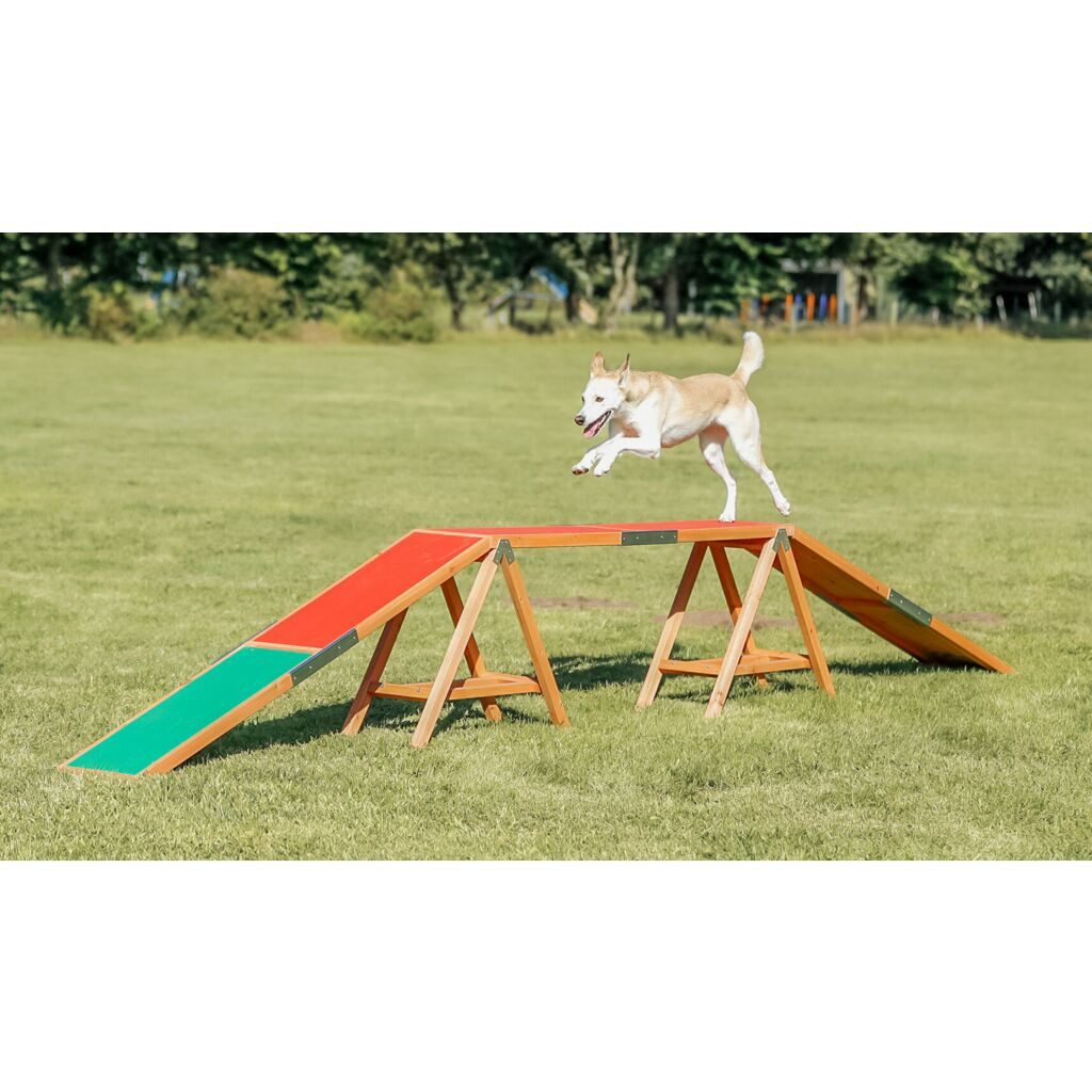 TRIXIE Agility-Hürde Fun Agility Steg - diverse - 456 × 64 × 30 cm, Kunststoff