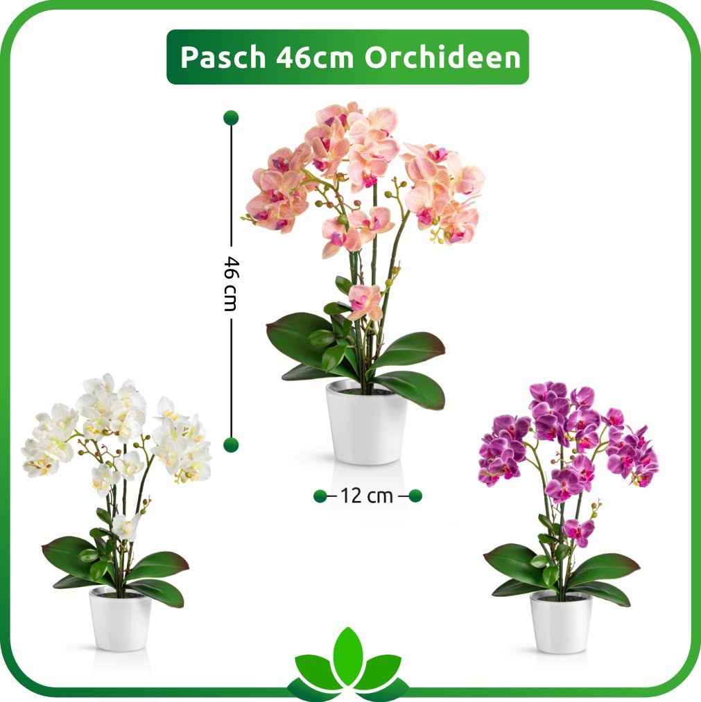 Kunstorchidee PASCH® Orchidee künstlich wie echt (46cm) in Hochglanz-Keramiktopf Orchidee, PASCH, Real Touch – Bild 5 von 5