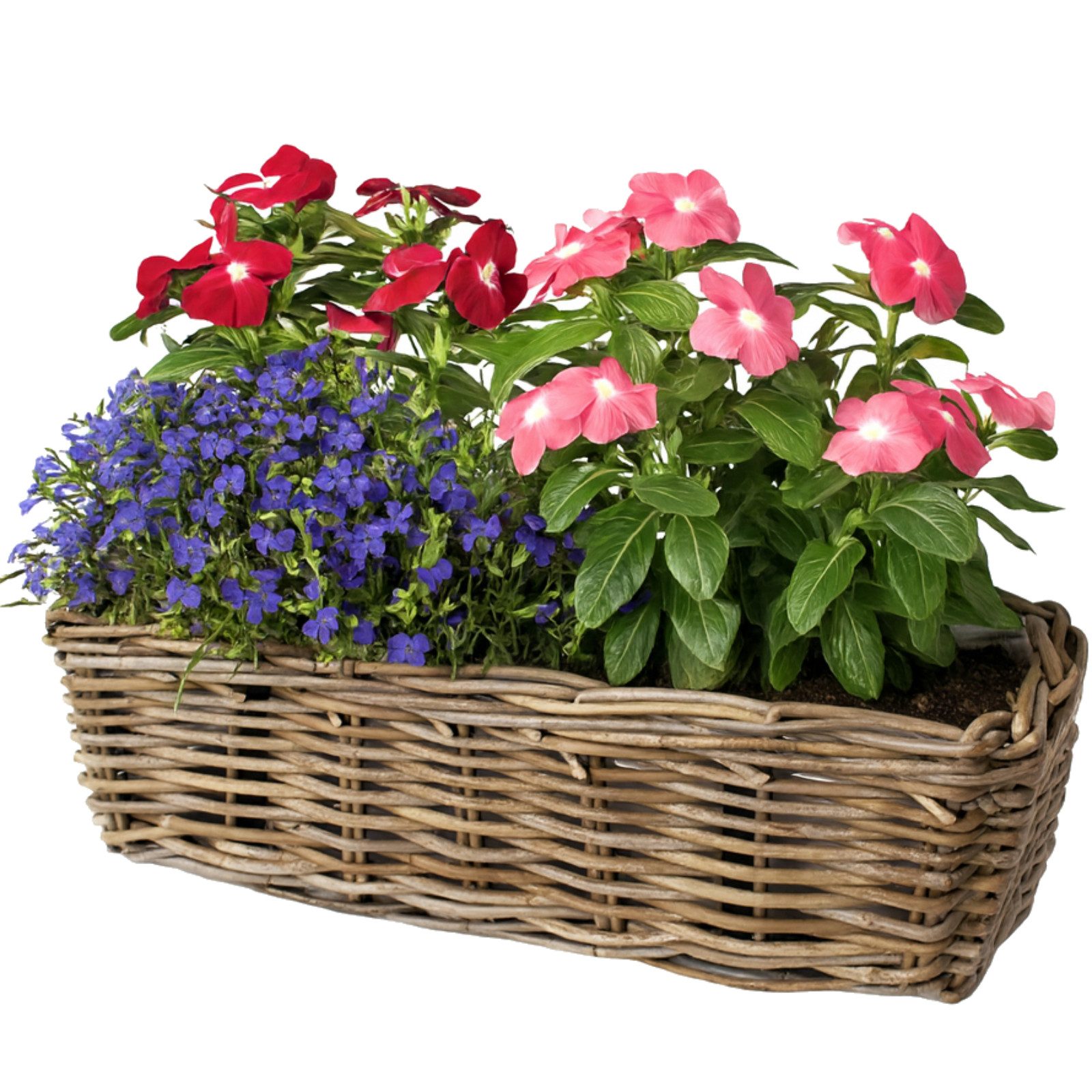 Van der Leeden Blumenkasten Pflanzkasten Balkonkasten Pflanzkorb 45x18x14cm Rattan (1 St), Balkon, Unikat, Fensterbank, Handmade, Blumenkübel