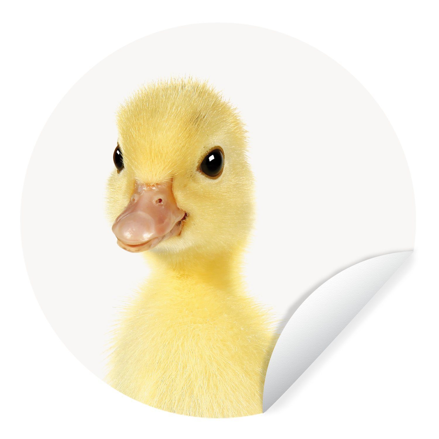 MuchoWow Wandsticker Tiere - Ente - Gelb (1 St), Tapetenkreis für Kinderzimmer, Tapetenaufkleber, Rund, Wohnzimmer