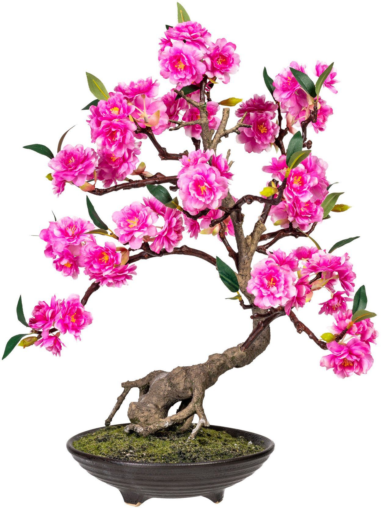 Kunstbonsai Margarete Bonsai, OTTO home, Höhe 50 cm, Kunstpflanze, in formschöner Zementschale