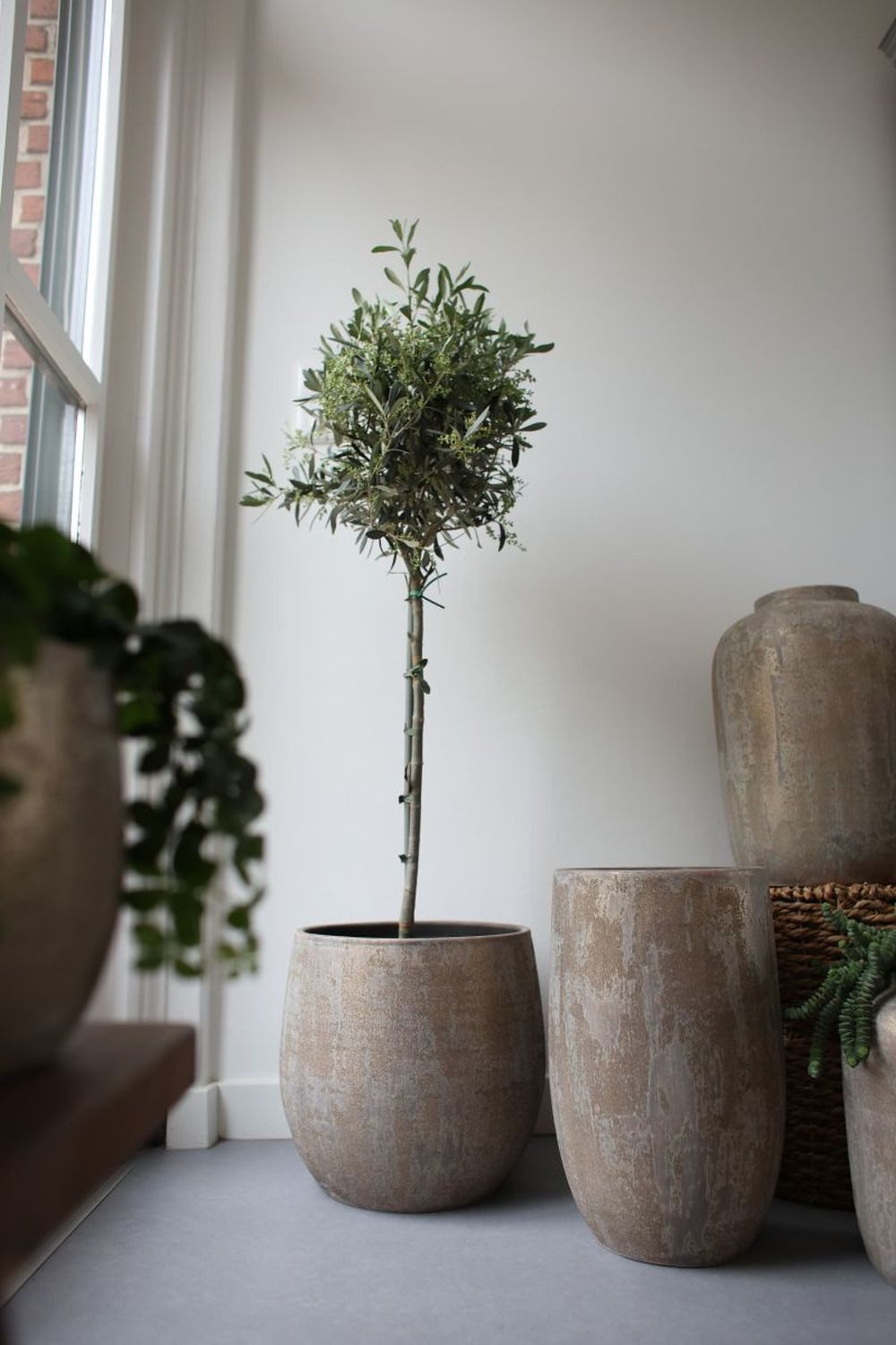 CreaFlor Home Bodenvase Avion, Bodenvase 40cm, Braun, Motiv: Einfarbig günstig online kaufen