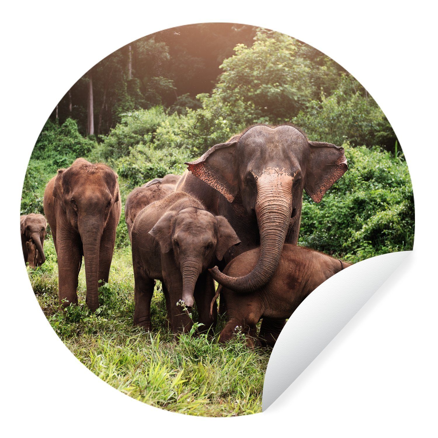 MuchoWow Wandsticker Wilde Elefanten (1 St), Tapetenkreis für Kinderzimmer, Tapetenaufkleber, Rund, Wohnzimmer | Wandtattoos
