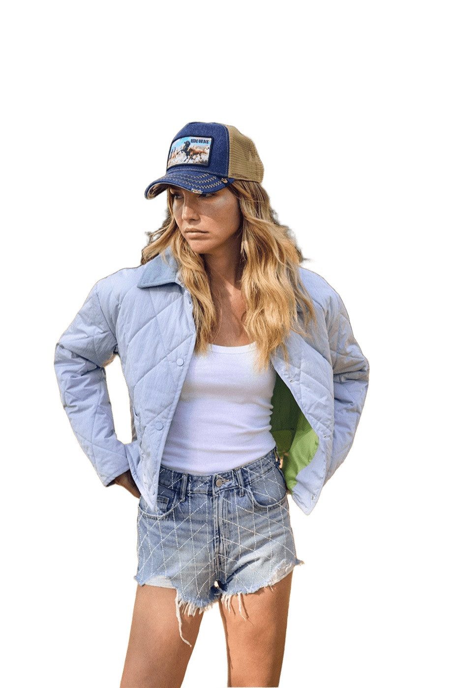 No.1 COMO Kurzjacke NEVIS Leichtsteppjacke mit günstig online kaufen