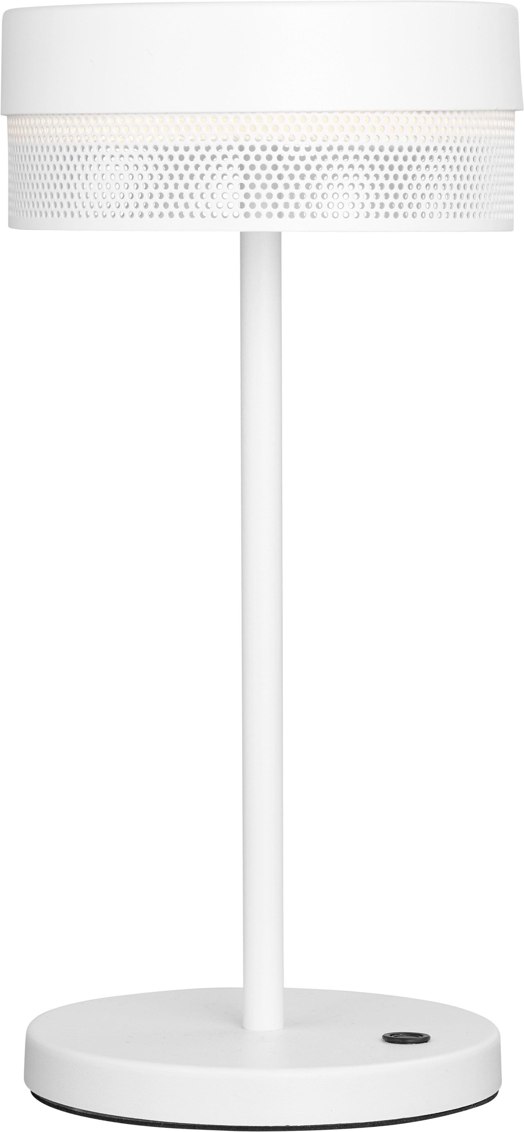 HELL höllisch gutes Licht LED Tischleuchte MESH-B, LED fest integriert, Warmweiß, Tastdimmer, IP54