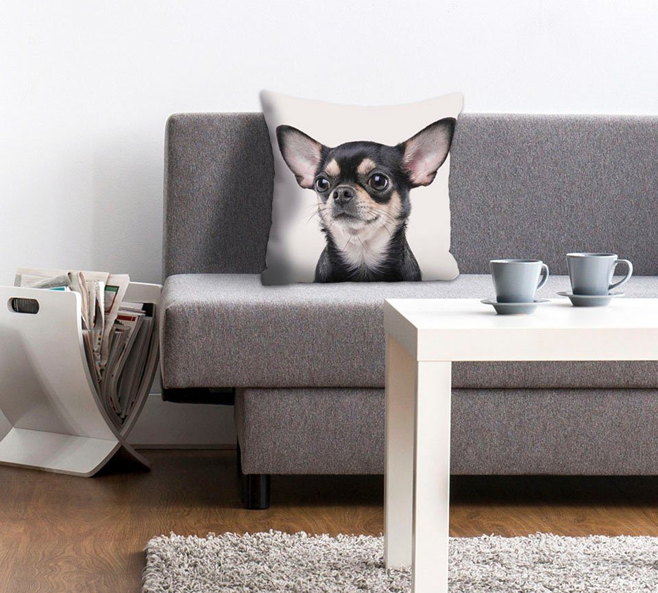 queence Dekokissen Mailin, Kissenhülle,Chihuahua,Hund,Tiermotiv,Niedlich,Verspielt,Haustier,Zart