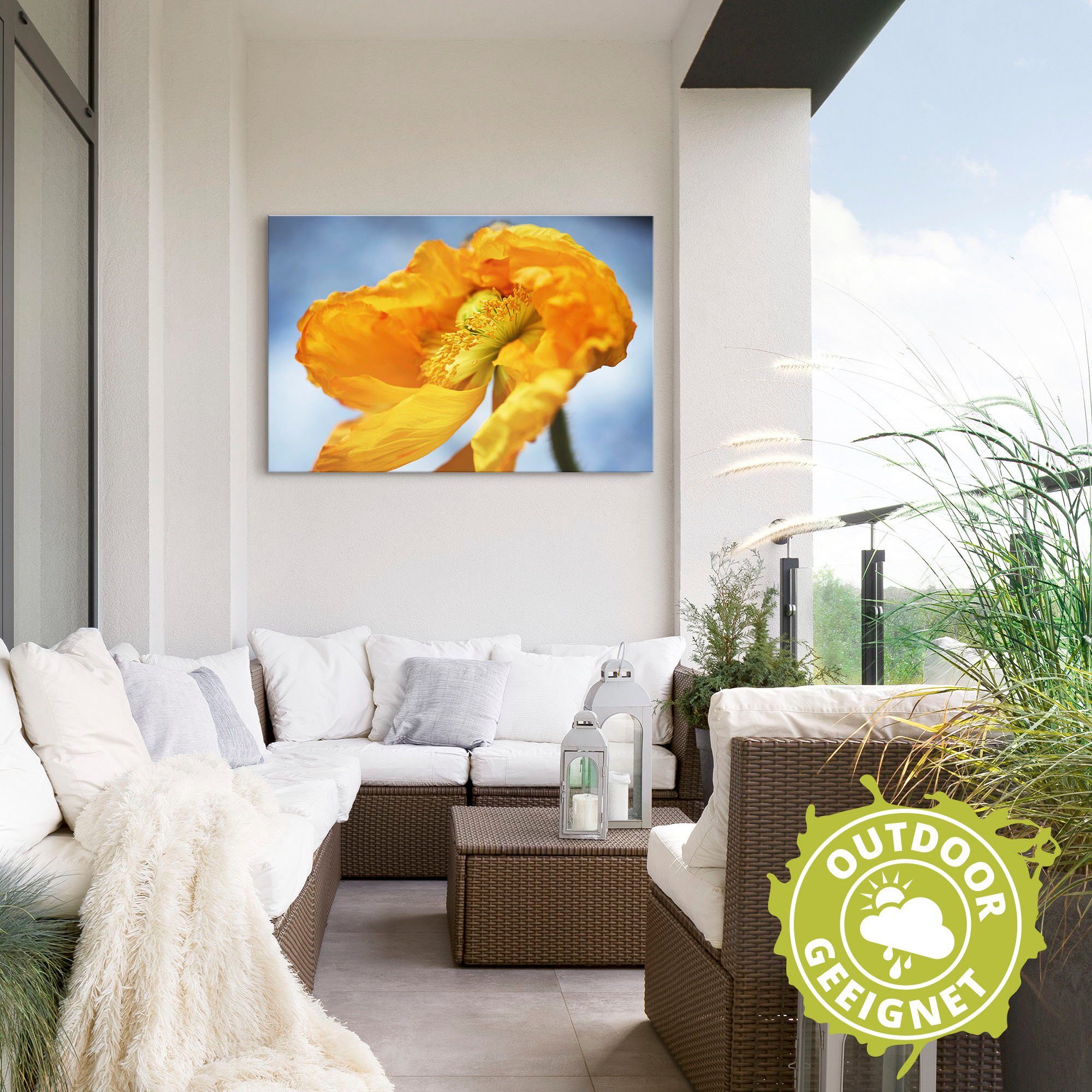 Mohnblüte, (1 oder Blumenbilder Artland versch. Poster Größen Wandbild Alubild, St), Gelbe in Wandaufkleber als Leinwandbild,