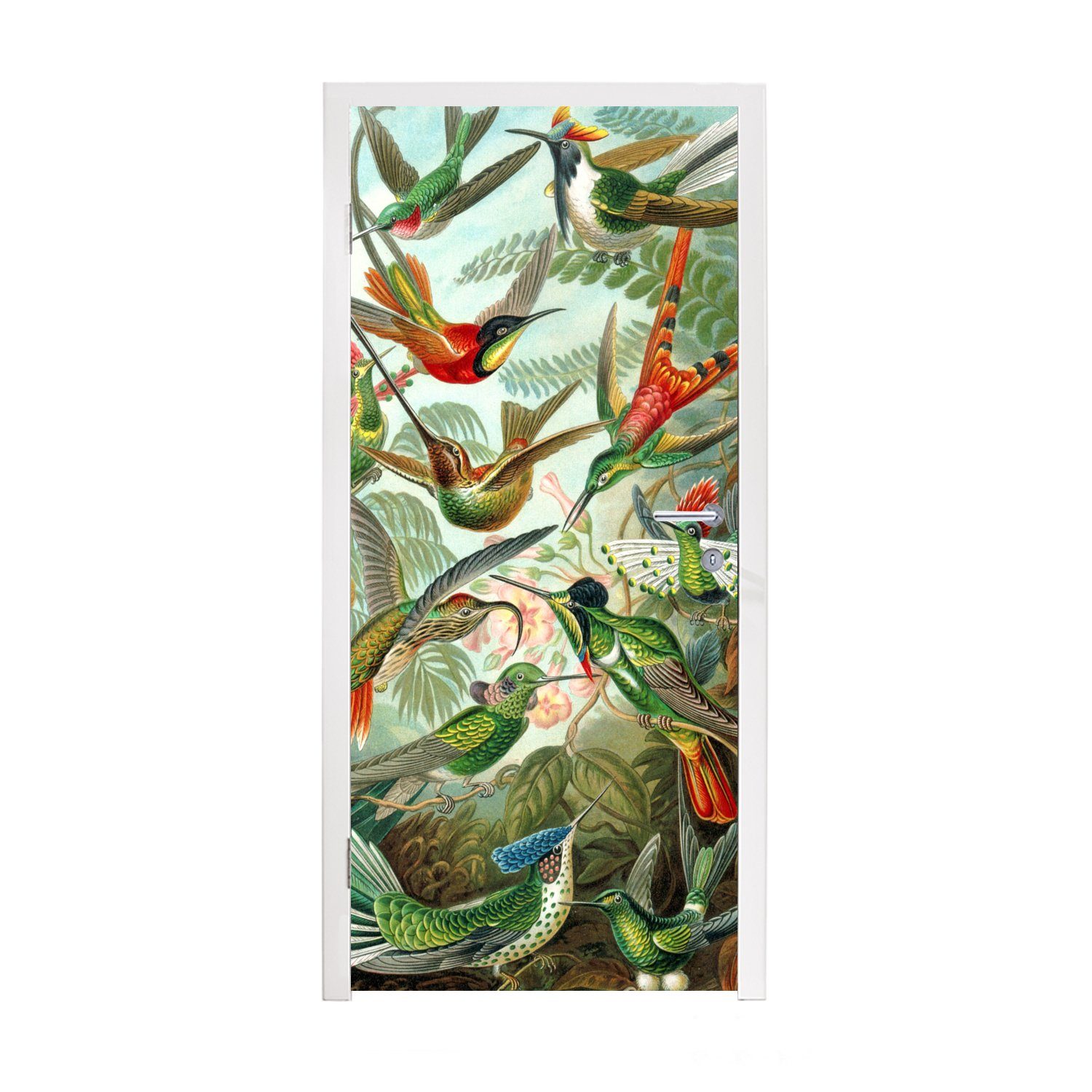 bedruckt, Ernst Türaufkleber, MuchoWow für cm St), Tür, - Kolibri Türtapete Haeckel, Natur (1 - Fototapete 75x205 Gestaltung Matt, -