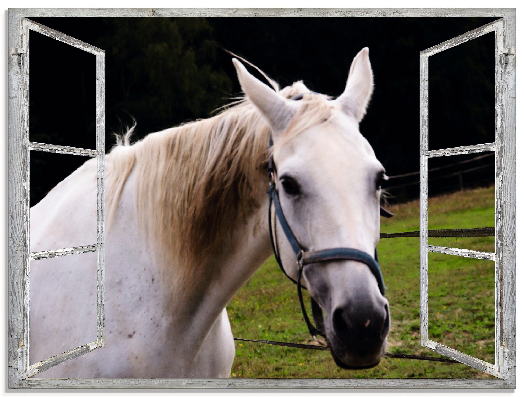 Pferd, Fensterblick Glasbild St), - weisses Größen (1 Haustiere in Artland verschiedenen