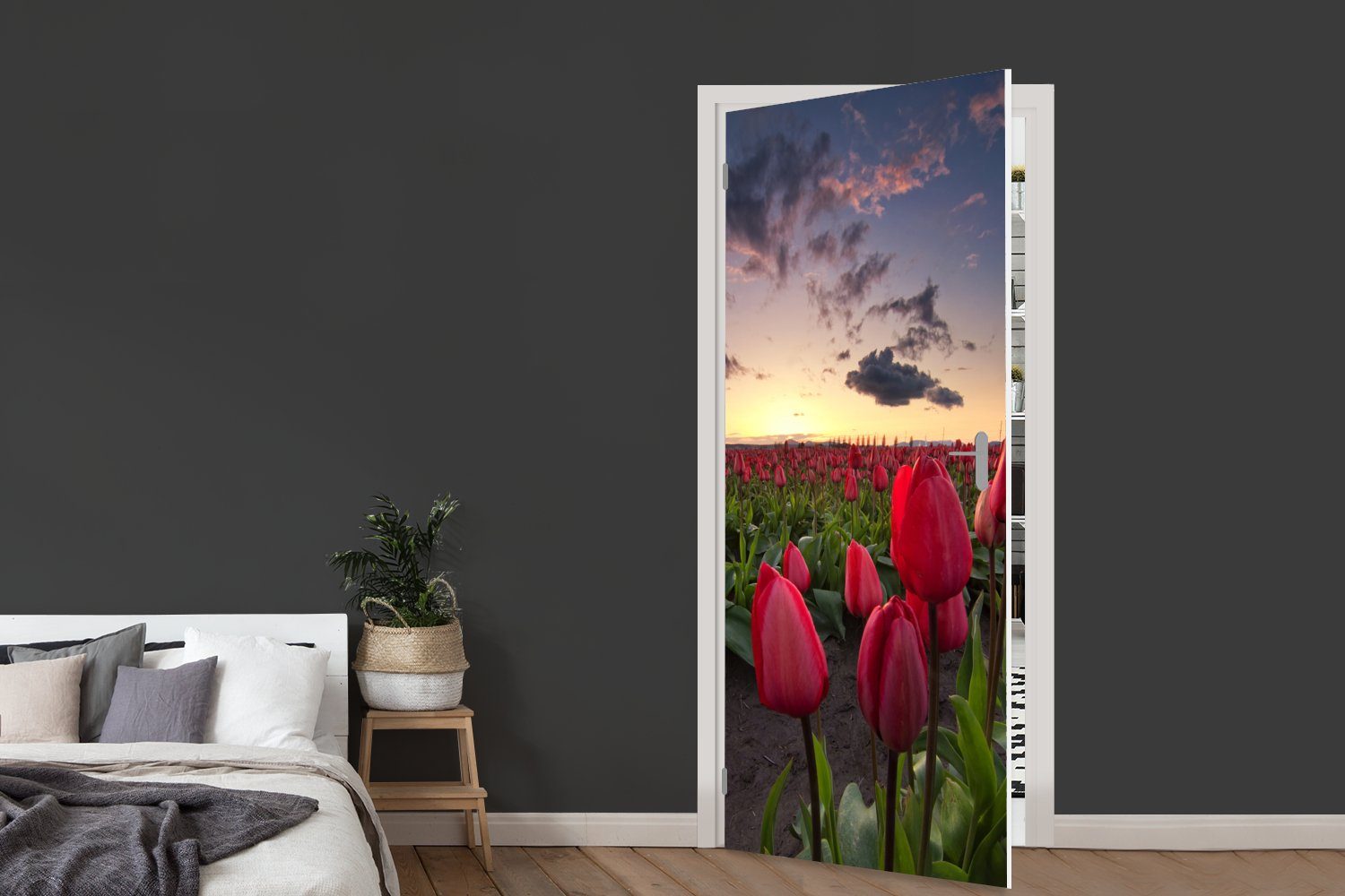 ein Sonnenuntergang, Fototapete Türaufkleber, St), Tür, für Rote 75x205 bedruckt, cm Matt, und Tulpen MuchoWow (1 Türtapete