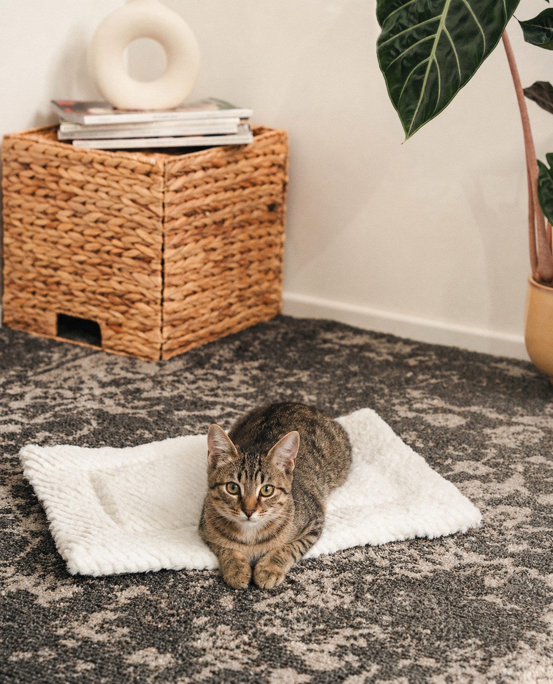 lionto Tierdecke für Katzen, flauschig & wendbar, grau/weiß, Faux-Leinen & Plüsch, ideal für Sofa, Körbchen & Fensterbank, pflegeleicht – Bild 2 von 5