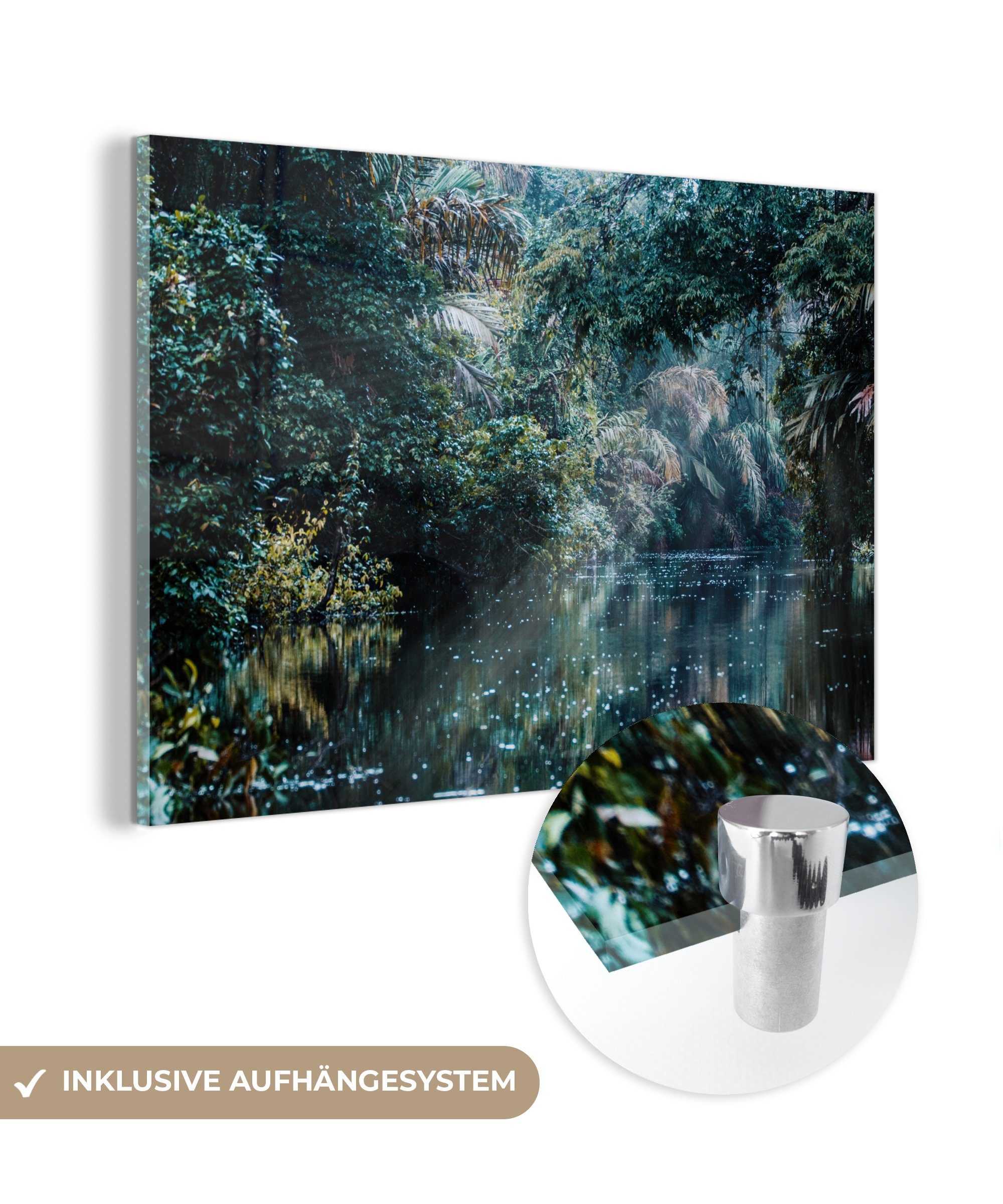 MuchoWow Acrylglasbild Pflanzen - Dschungel - Wohnzimmer Acrylglasbilder (1 Schlafzimmer Wasser, & St)