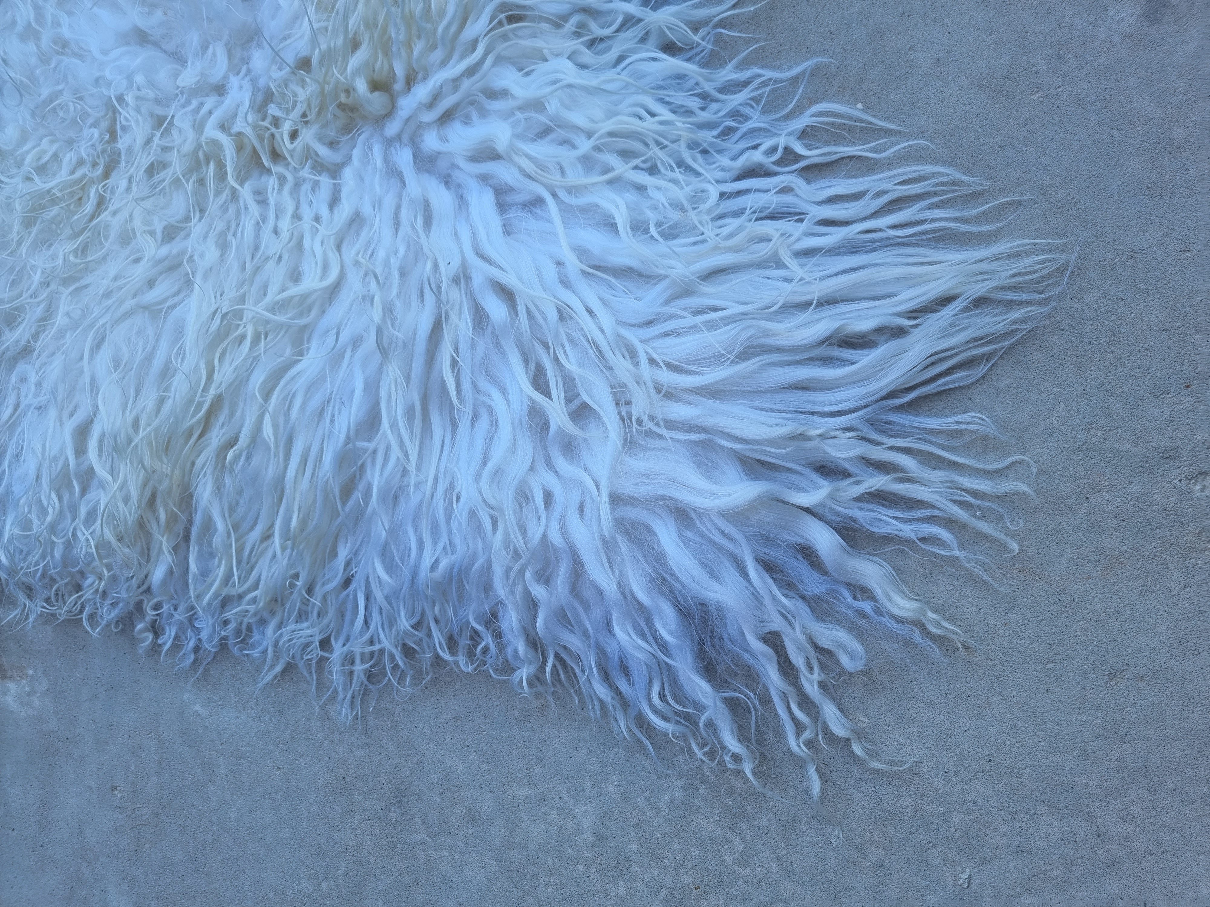 Provellus Fellteppich Premium, Langhaar Island Schaffell Lammfell Natur loc günstig online kaufen