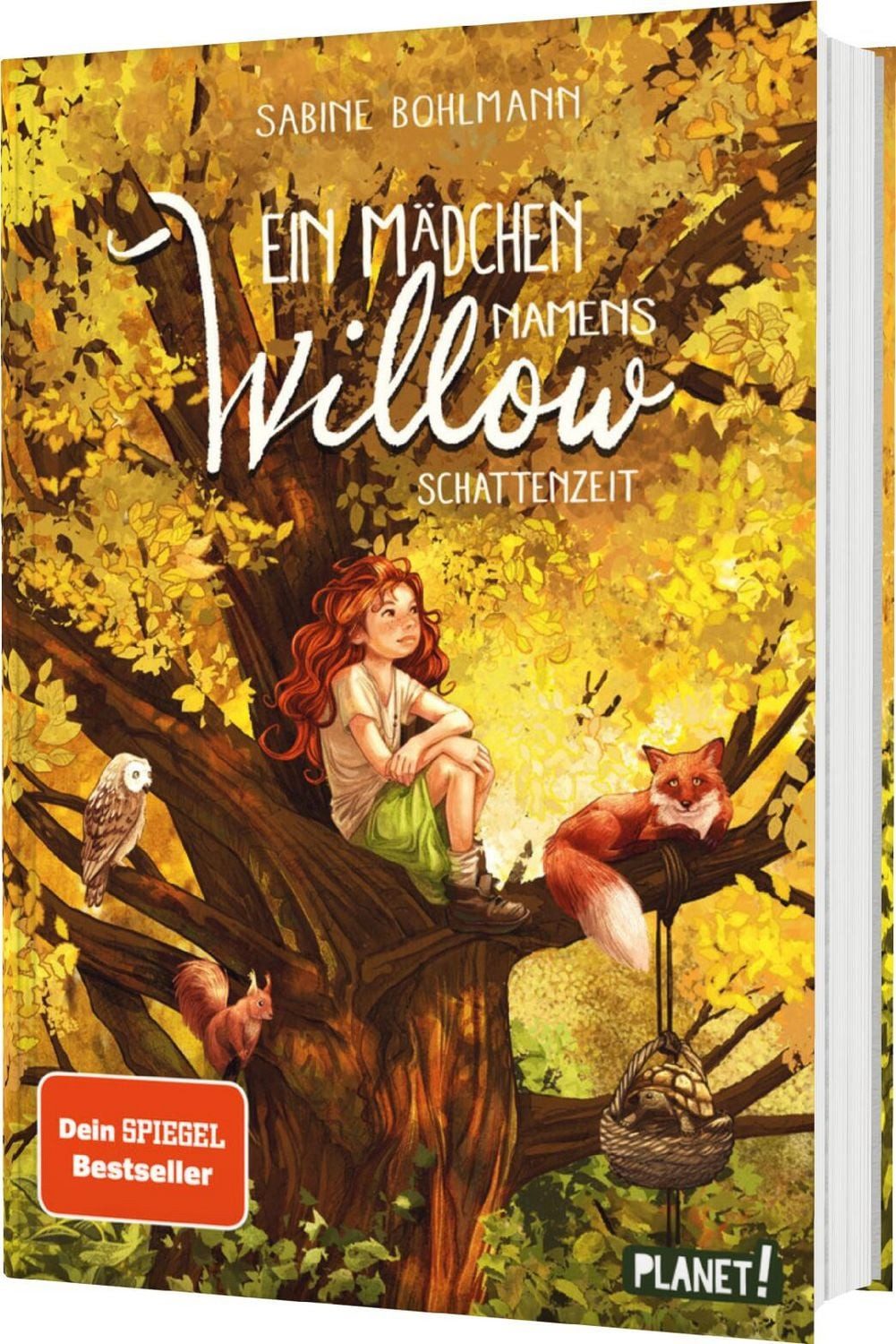 Ein Mädchen namens Willow 5: Schattenzeit / Sabine Bohlmann