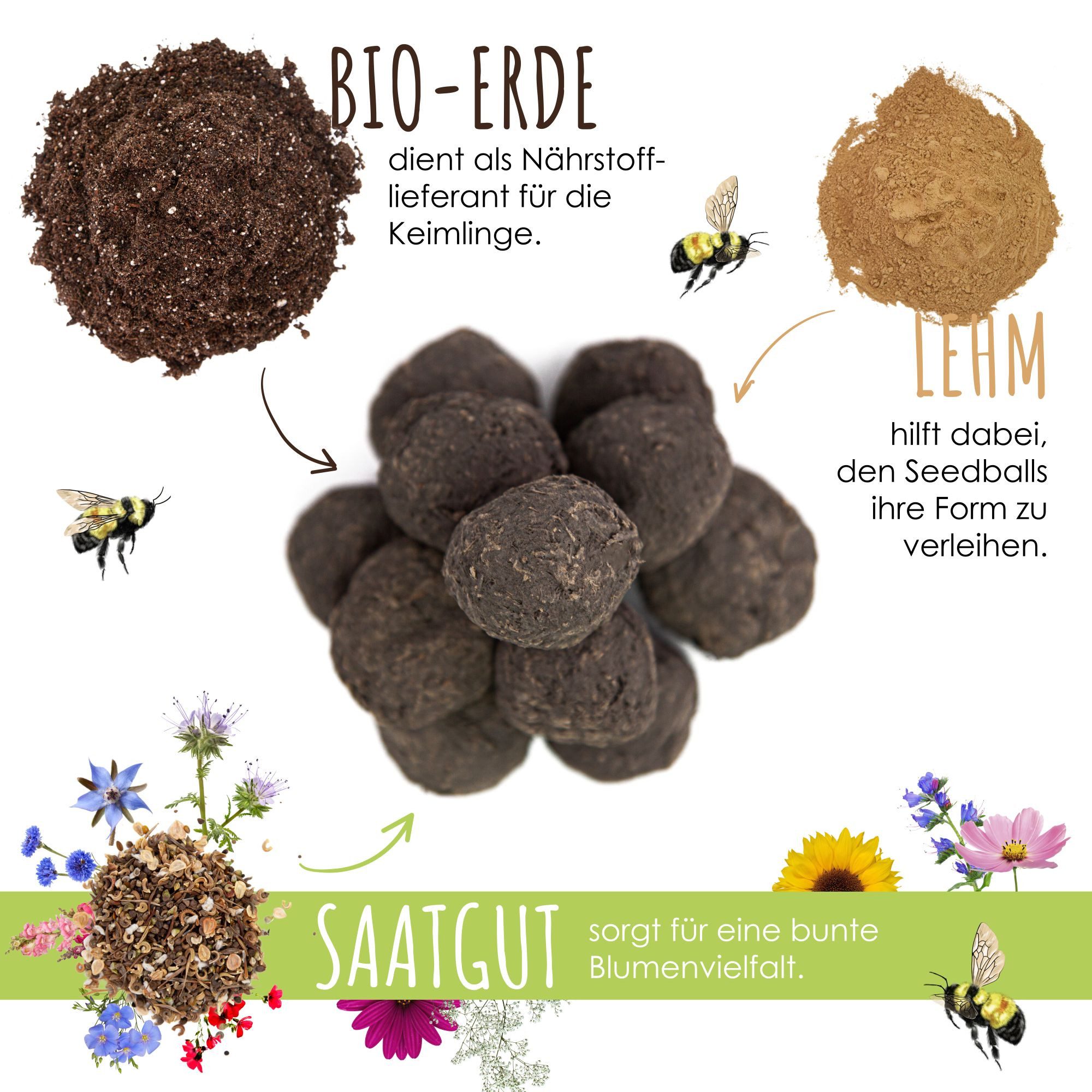 Bienenmagnet Blumensamen 12x Samenbomben (bunte Bienenweide) - Farbenfrohe günstig online kaufen