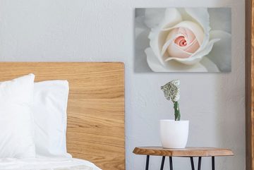 OneMillionCanvasses® Leinwandbild Rose - Blume - Blätter, (1 St), Wandbild Leinwandbilder, Aufhängefertig, Wanddeko, 30x20 cm