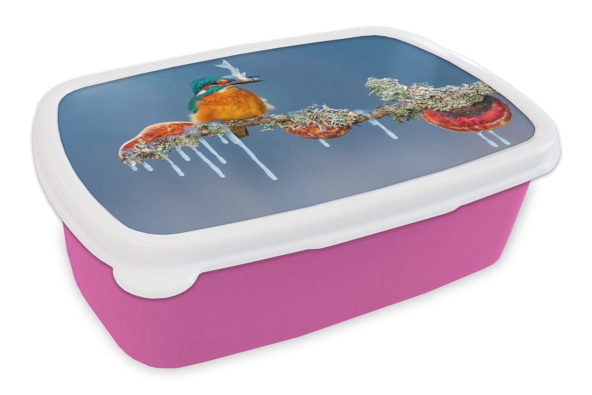 MuchoWow Lunchbox Eisvogel - Zweig - Fisch, Kunststoff, (2-tlg), Brotbox für Erwachsene, Brotdose Kinder, Snackbox, Mädchen, Kunststoff rosa