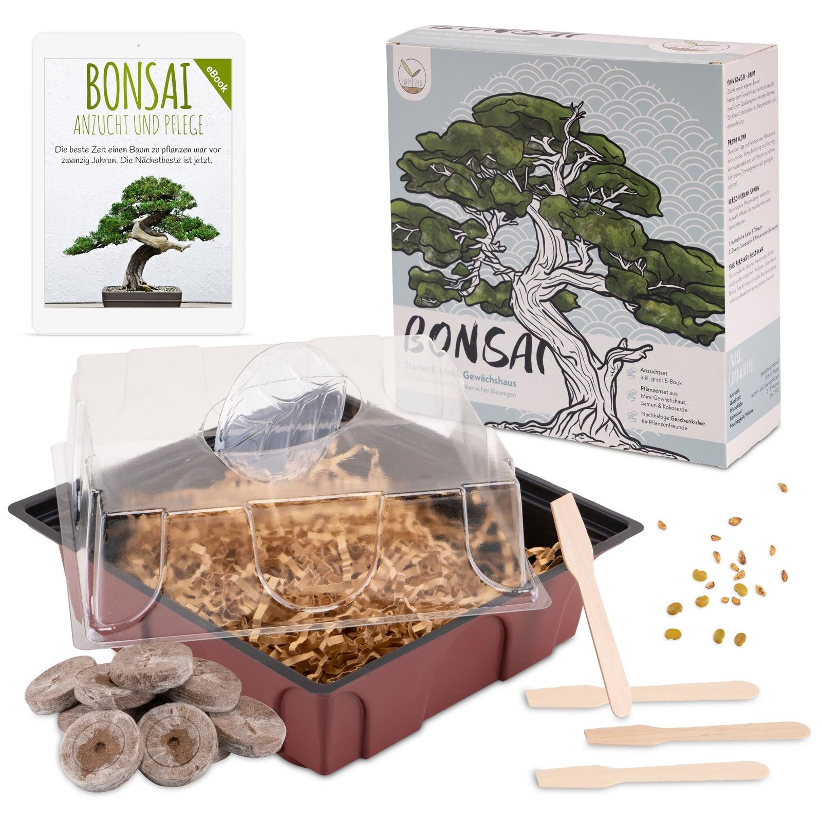 HappySeed Blumensamen Bonsai Starter Kit inkl. eBook (Afr. Blauregen + Zwer günstig online kaufen