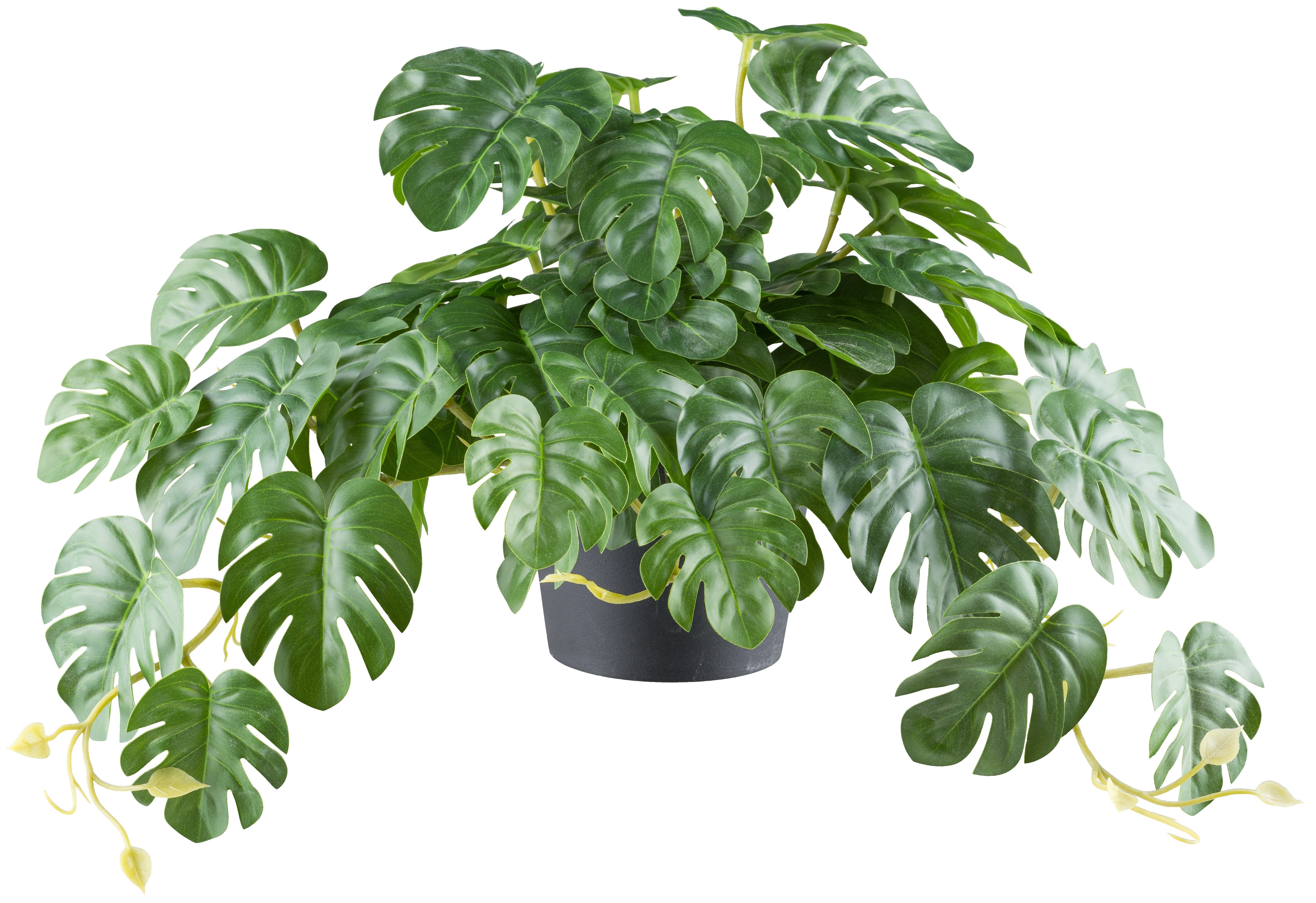 Kunstpflanze Splitphilodendron, Creativ green, Höhe 40 cm, mit naturgetreue günstig online kaufen