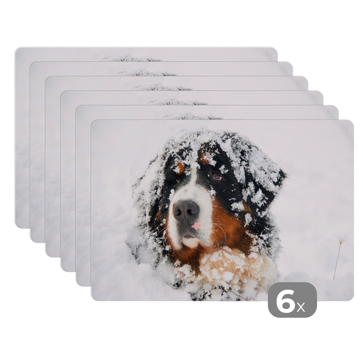 Platzset, Snowy Berner Sennenhund, MuchoWow, (6-St), Platzset, Platzdecken, Platzmatte, Tischmatten, Schmutzabweisend