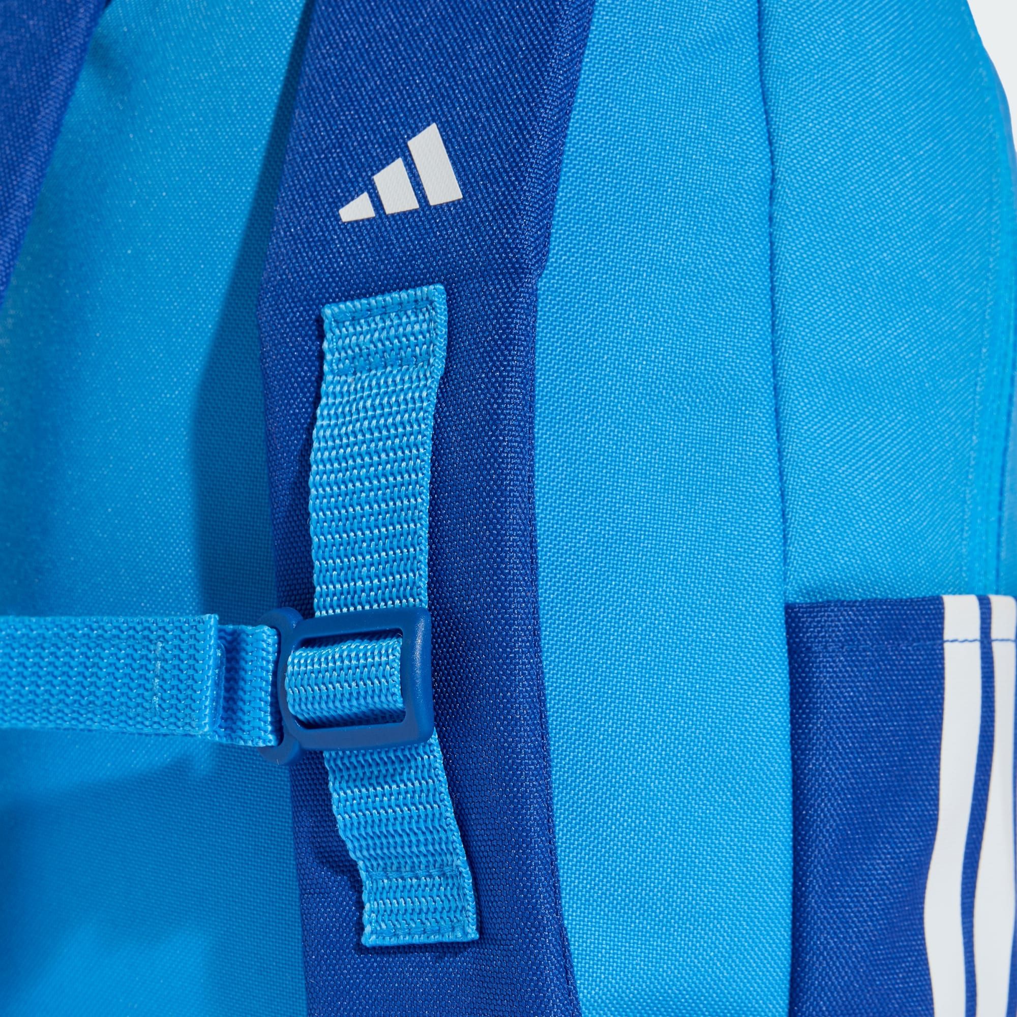 Lucid Ray Blue / Royal Blue / White
