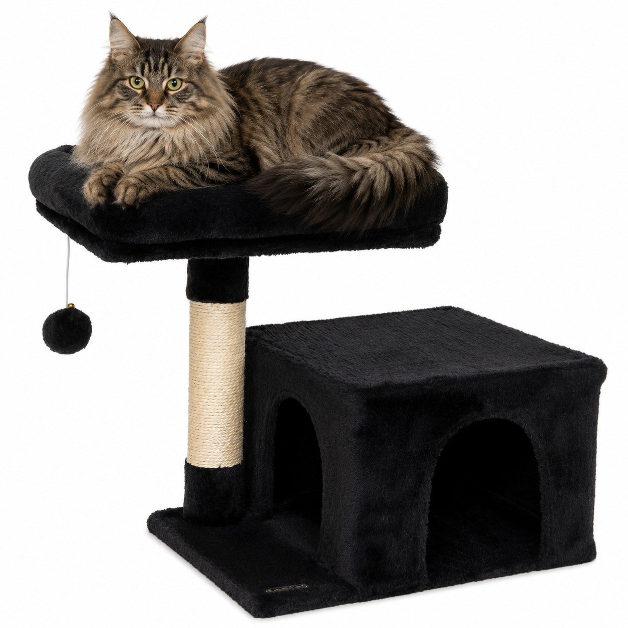 lionto Kratzbaum platzsparend 50 cm, für Kitten & Jungtiere, schwarz, Katzenkratzbaum mit Plüschbezug, Spielball & Sisalstange