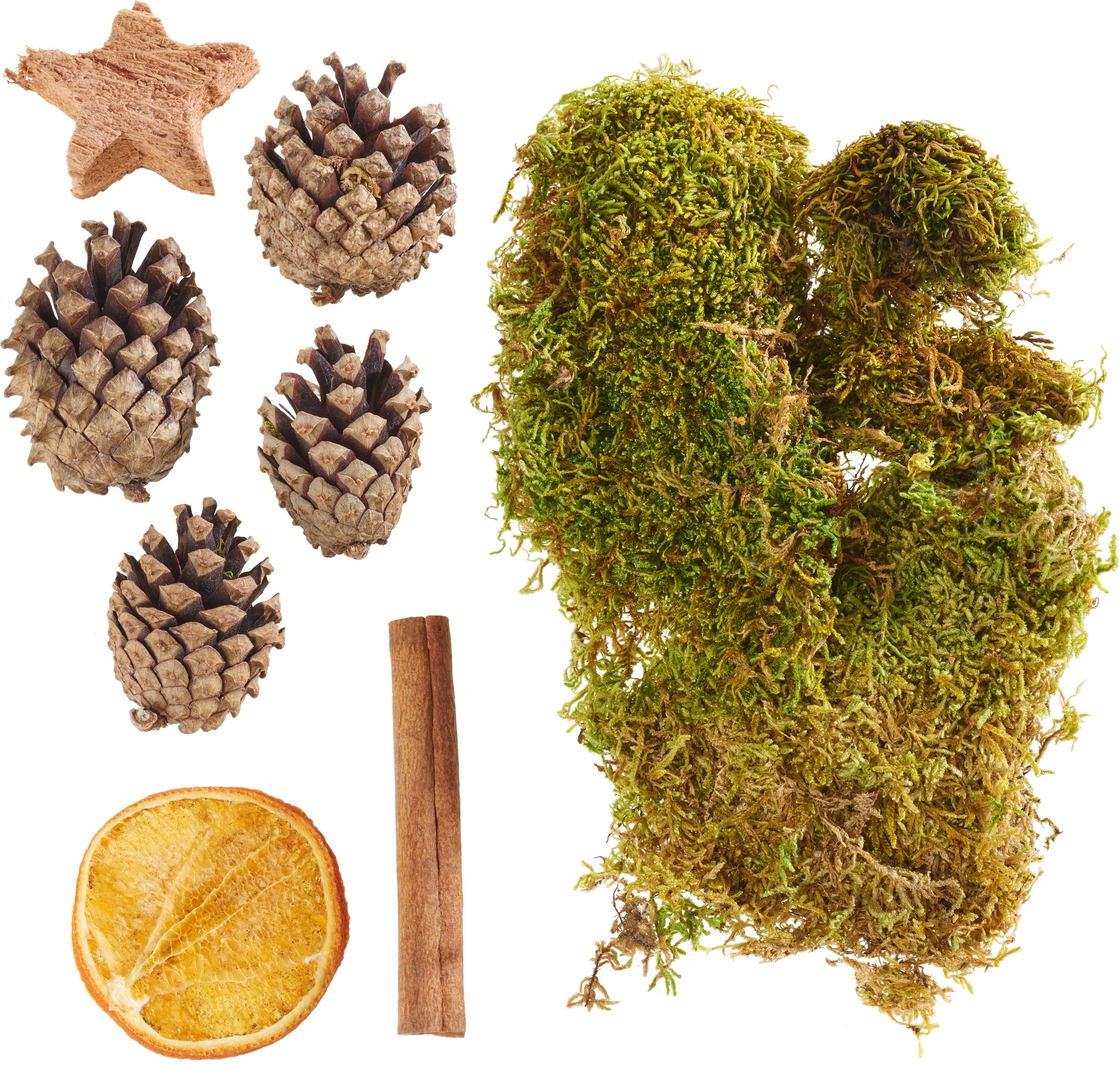 Bastelnaturmaterial