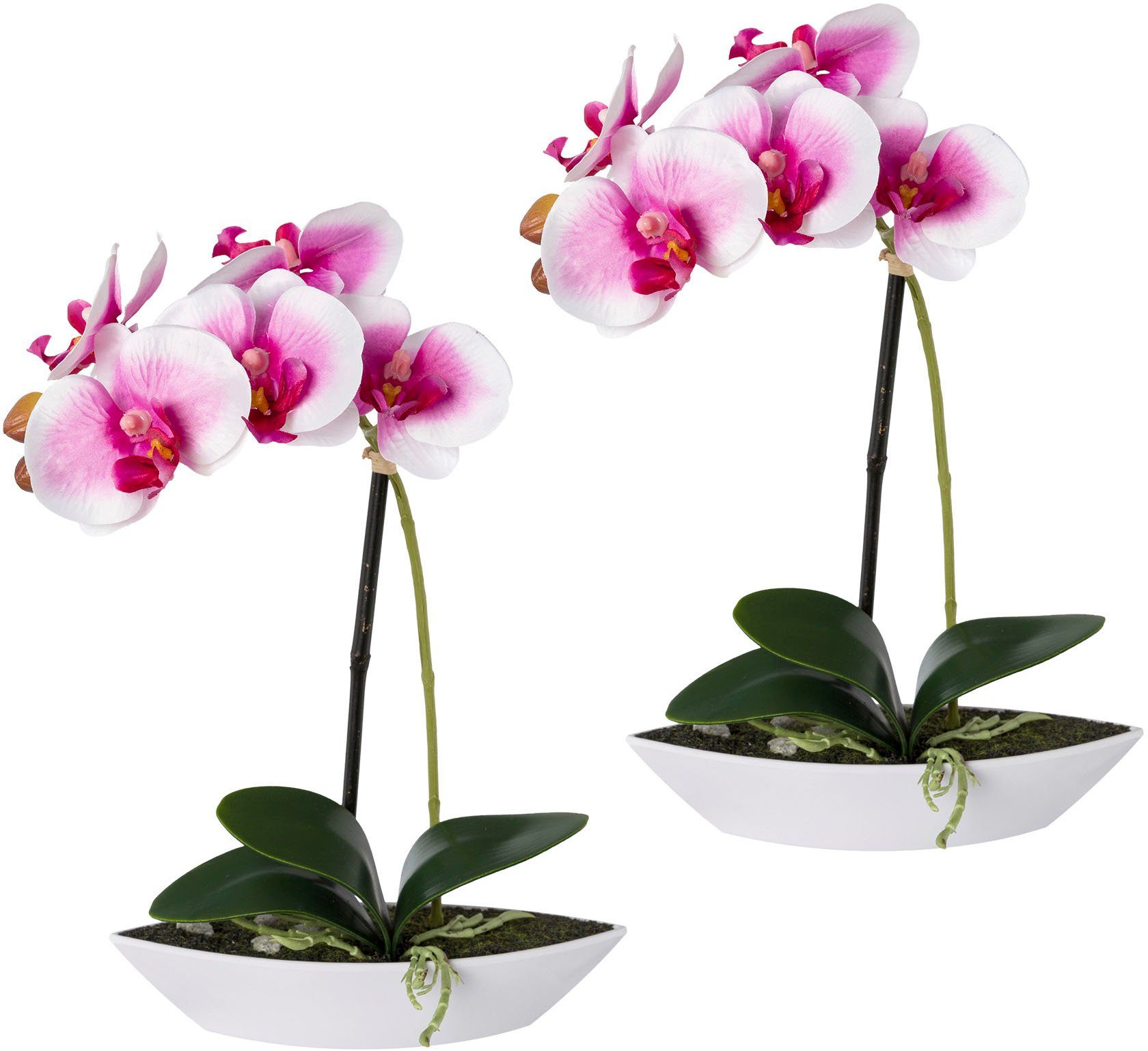 Kunstorchidee Phalaenopsis