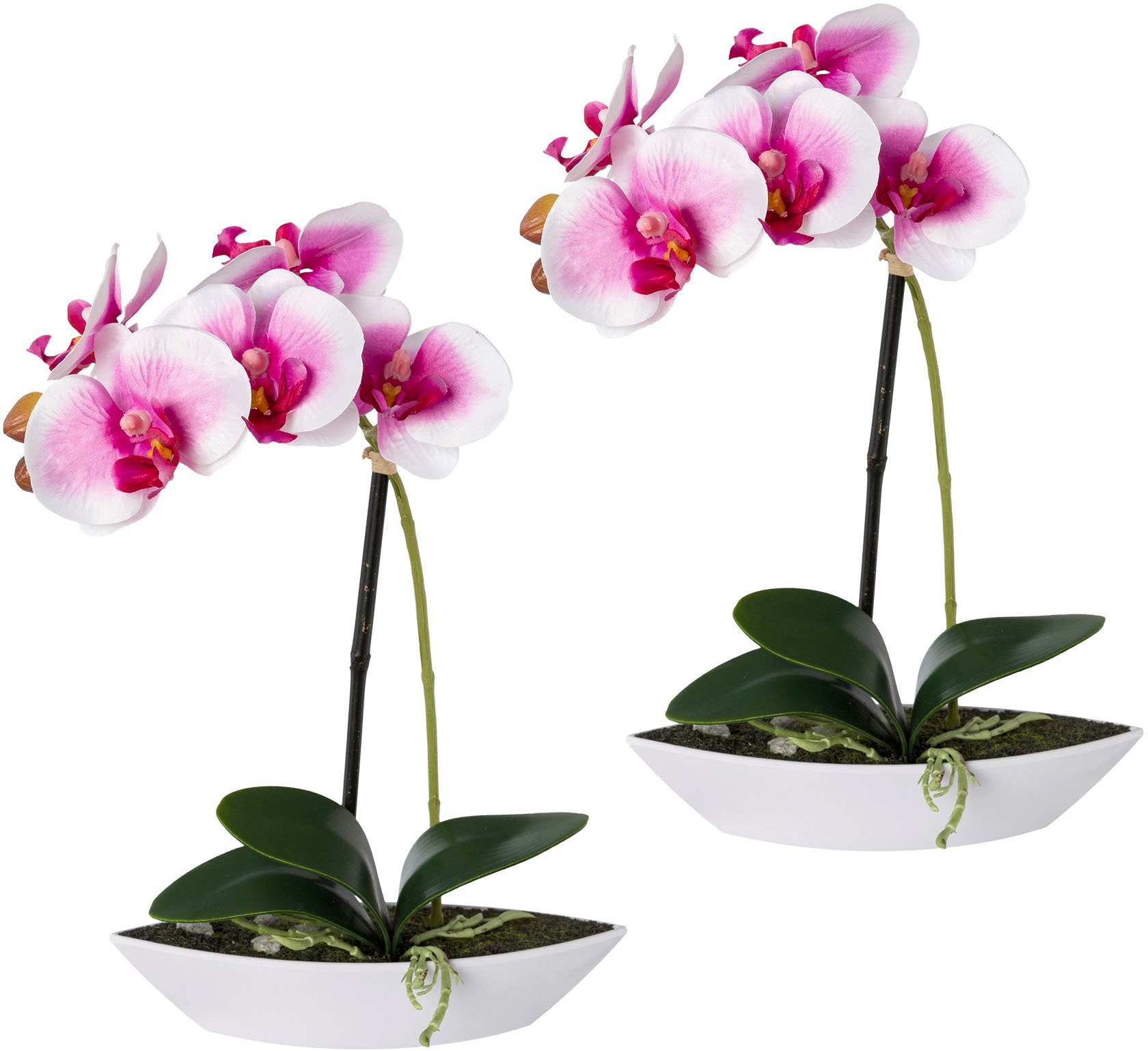 Kunstorchidee Phalaenopsis, Creativ green, Höhe 30 cm, 2er Set, in Kunststoffschale weiß/lila