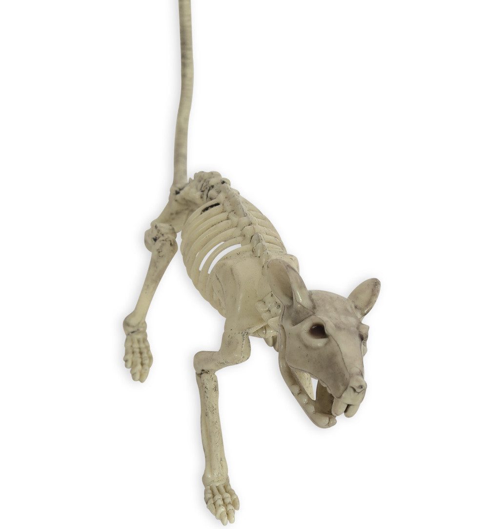 Fries Tierfigur Deko Skelett Ratte 34 cm Beweglicher Schwanz Kopf & Gebiss Halloween, Beweglicher Kopf, Gebiss und Schwanz – Bild 3 von 3