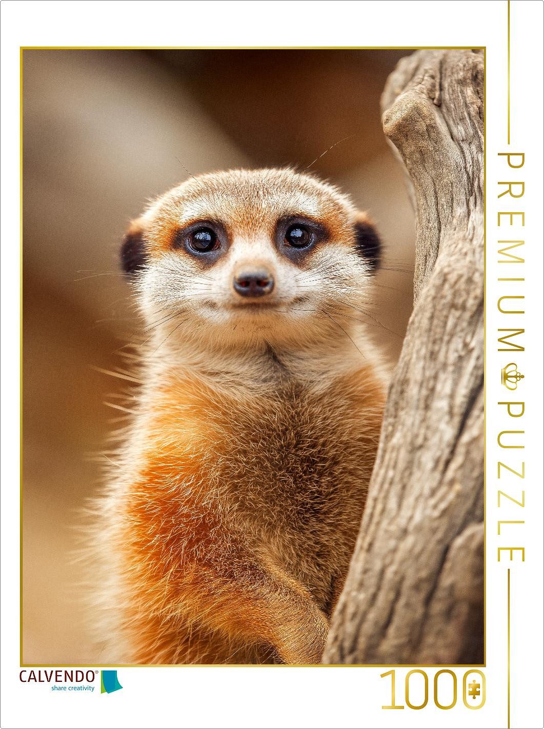 CALVENDO Puzzle CALVENDO Puzzle Süßes Erdmännchen mit großen Augen im Portrait, 1000, 1000 Puzzleteile