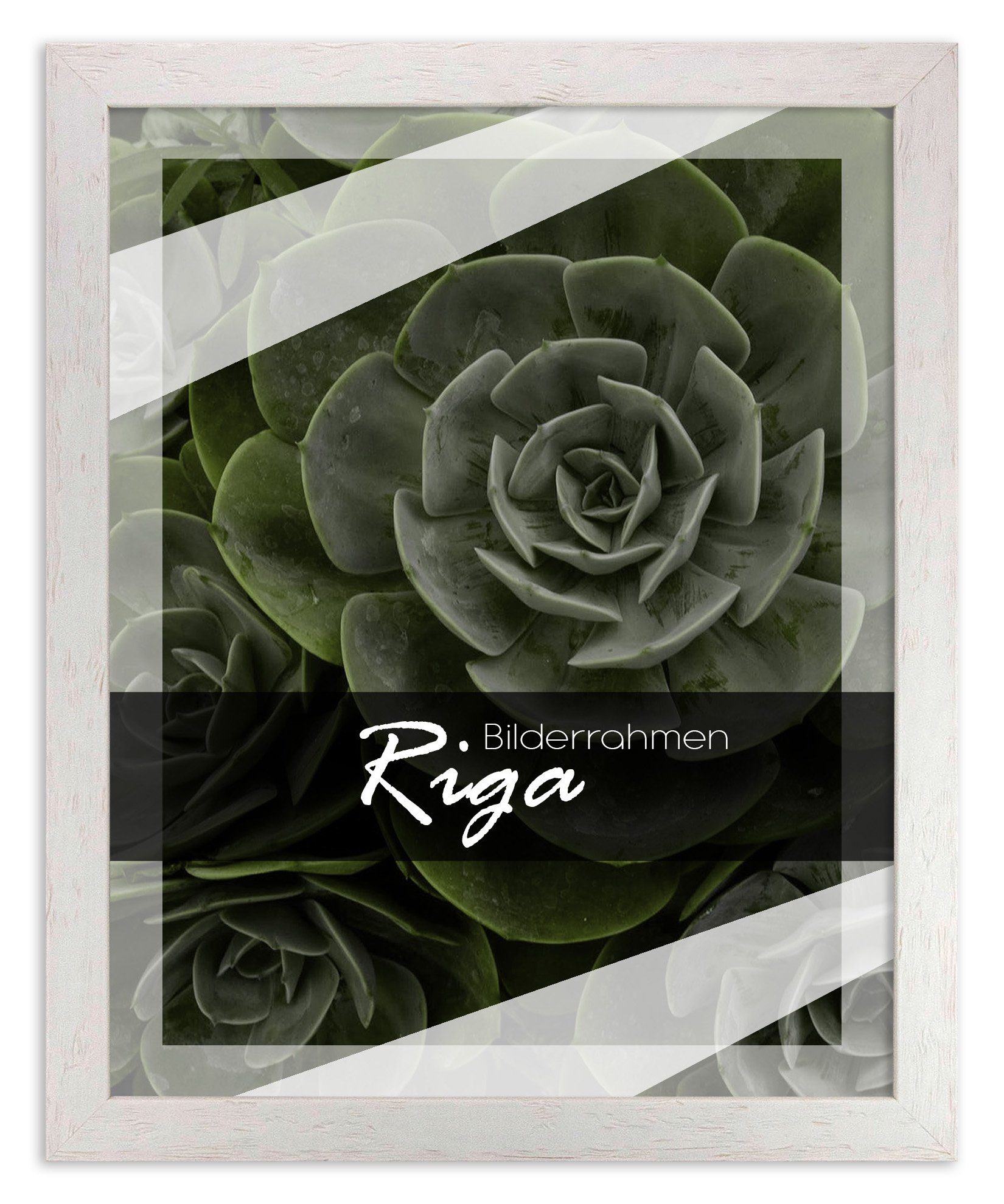 Einzelrahmen Bilderrahmen Riga, (1 Stück), 20x30 günstig online kaufen