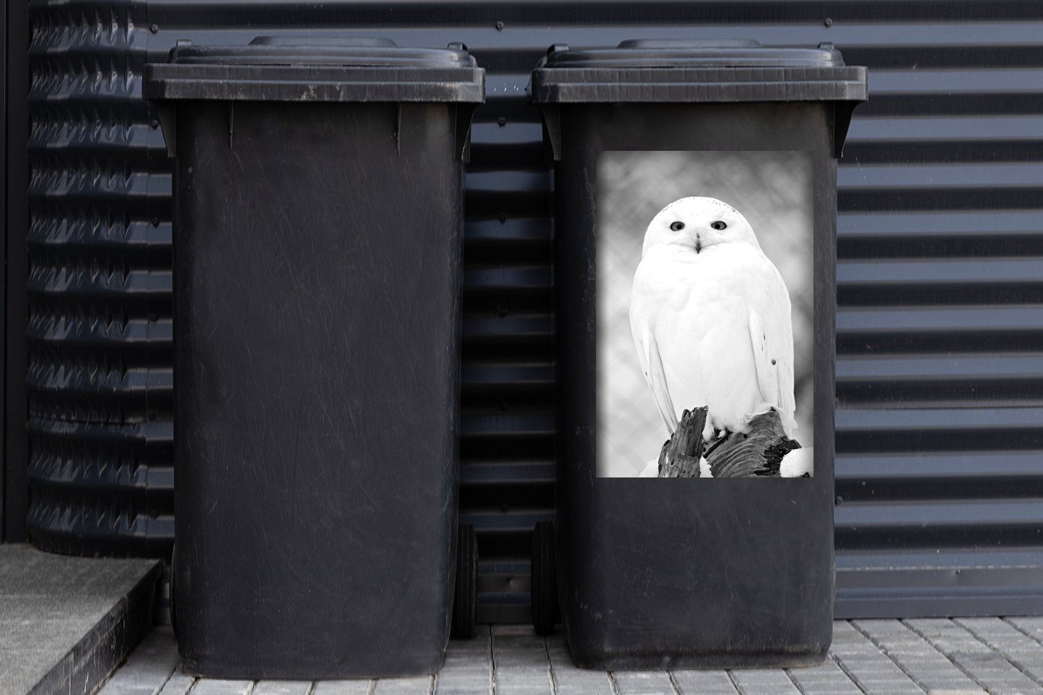und St), Mülleimer-aufkleber, weiß (1 Porträt Wandsticker Schneeeule - Sticker, Abfalbehälter schwarz MuchoWow Mülltonne, Container, einer