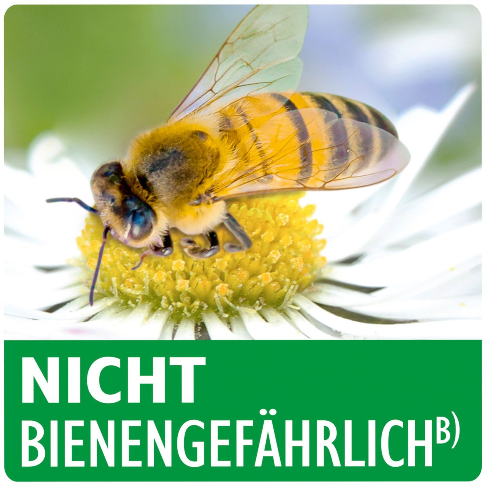 Neudorff Insektenvernichtungsmittel Spruzit Schädlingsfrei - 100 ml