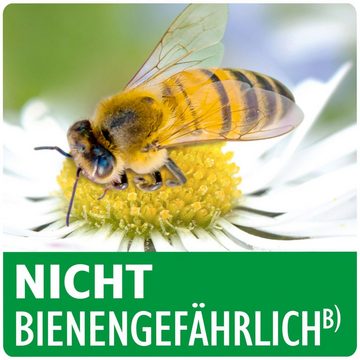 Neudorff Insektenvernichtungsmittel Raupenfrei XenTari - 2x 25 g