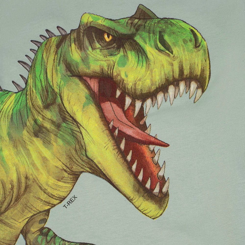 Dino World T-Shirt Dino World Dinosaurier T-Rex T-Shirt frosty green (1-tlg)