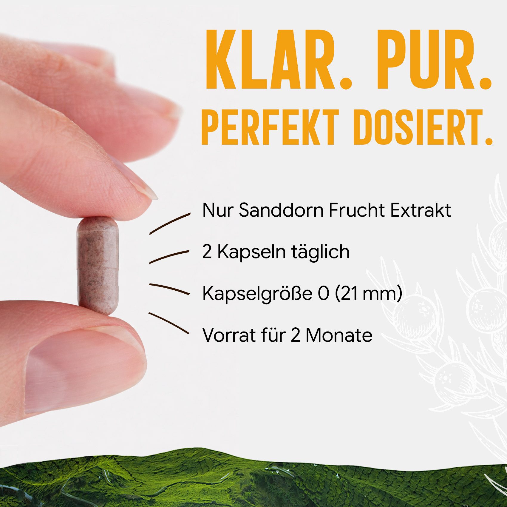 Dorado Superfoods Sanddorn Extrakt Kapseln – 500 mg Frucht – 30% Vitamin C, 120 Stück Kapsel, 72 g