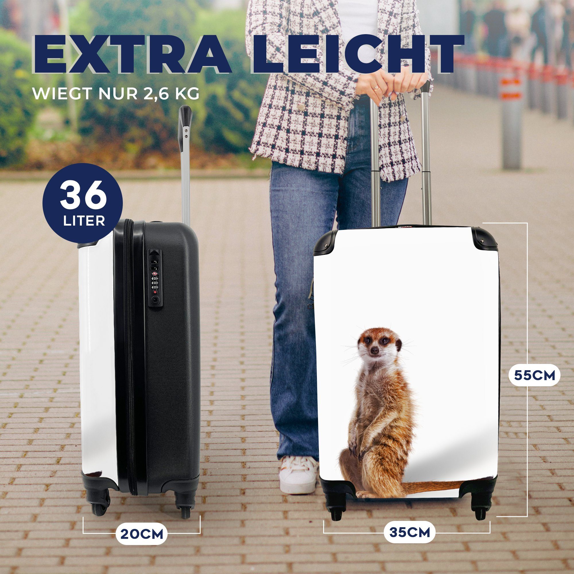 Reisekoffer Handgepäckkoffer mit - Handgepäck Erdmännchen 4 Reisetasche Fell, MuchoWow Tiere für Ferien, rollen, Trolley, - Rollen,