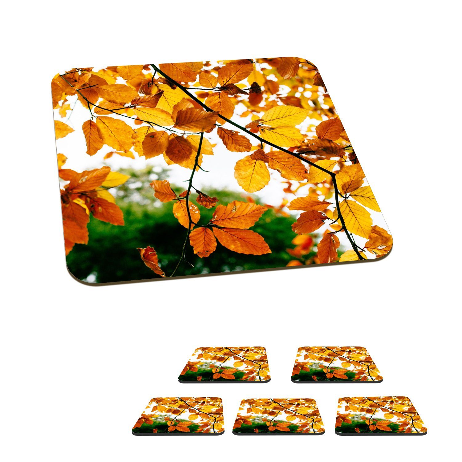 MuchoWow Glasuntersetzer Herbstblätter - Baum - Rustikal, Zubehör für Gläser, 6-tlg., Glasuntersetzer, Tischuntersetzer, Korkuntersetzer, Untersetzer, Tasse
